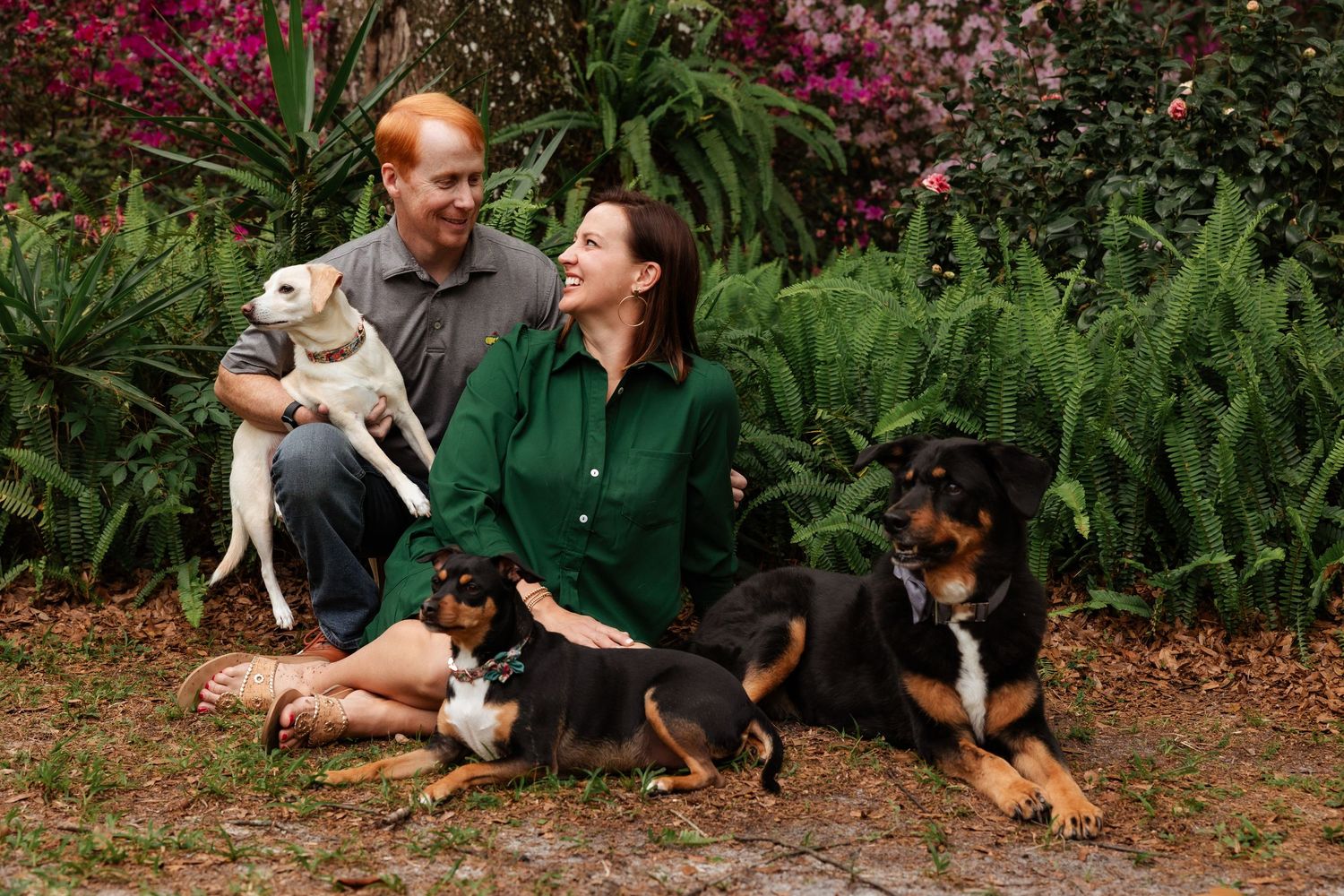 A couple sits in a garden surrounded by colorful flowers with their three dogs.