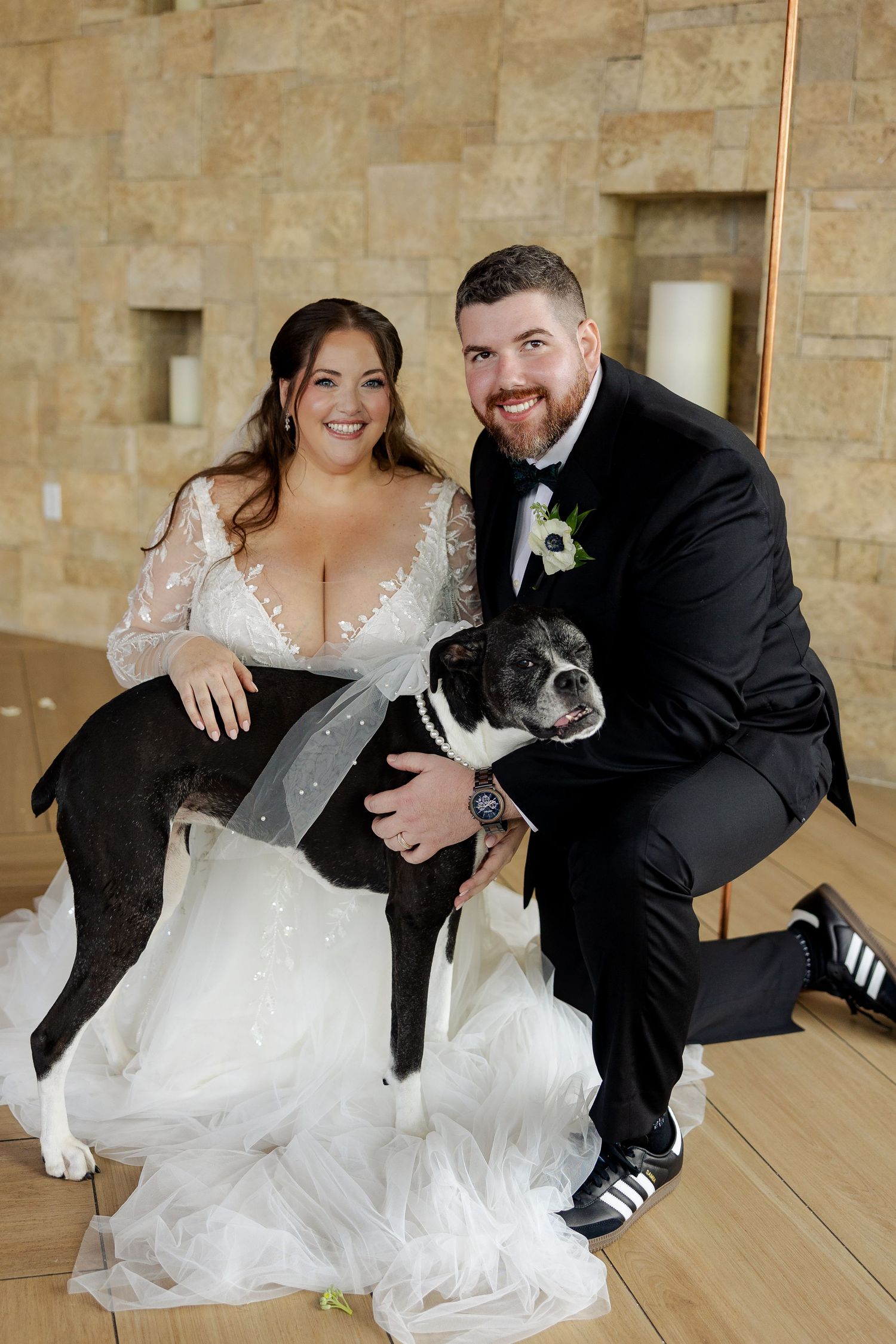 Bride and groom pose with their black and white Boston Terrier dog on their wedding day indoors.