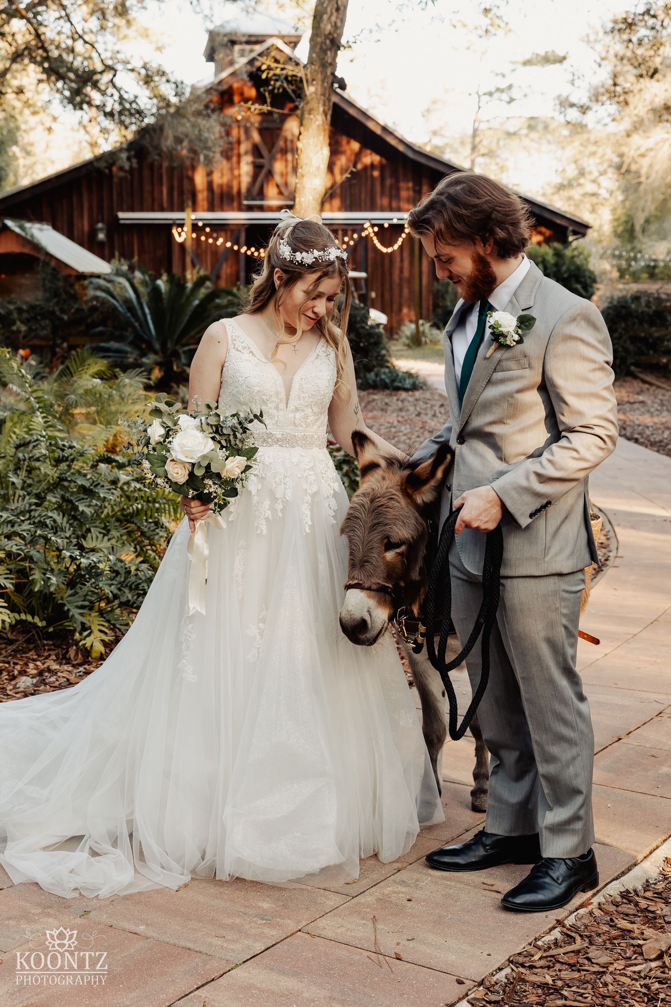 Bride and groom in elegant wedding attire smile at a donkey at their rustic outdoor barn wedding.