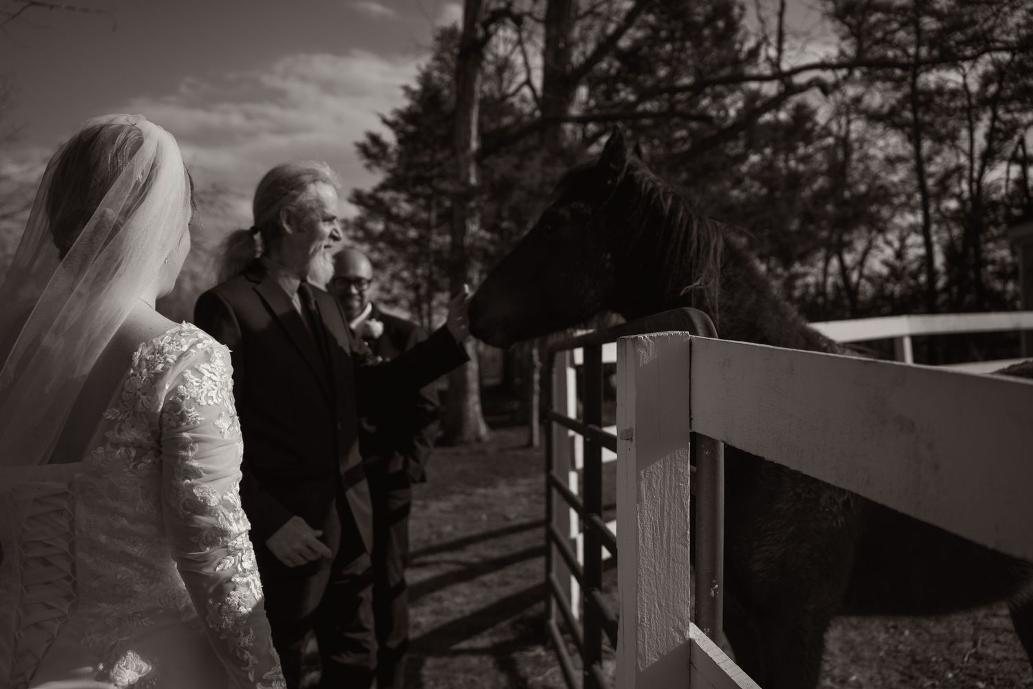 Black and white wedding photo of bride and groom petting a dark horse at a fence outdoors.
