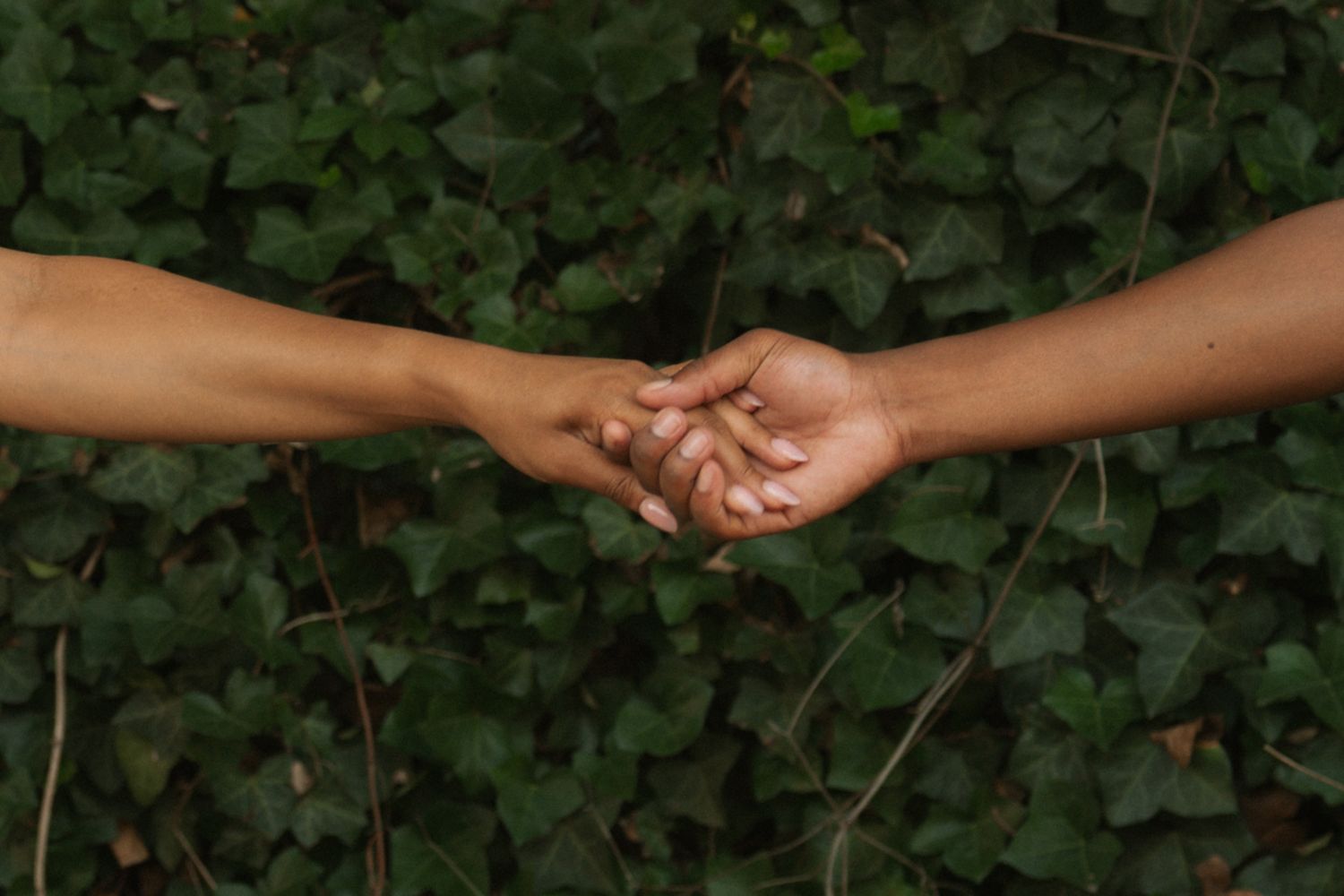 Two people gently holding hands against a backdrop of lush green ivy leaves. Taken by Row And Co Photography in Fredericksburg Virginia.