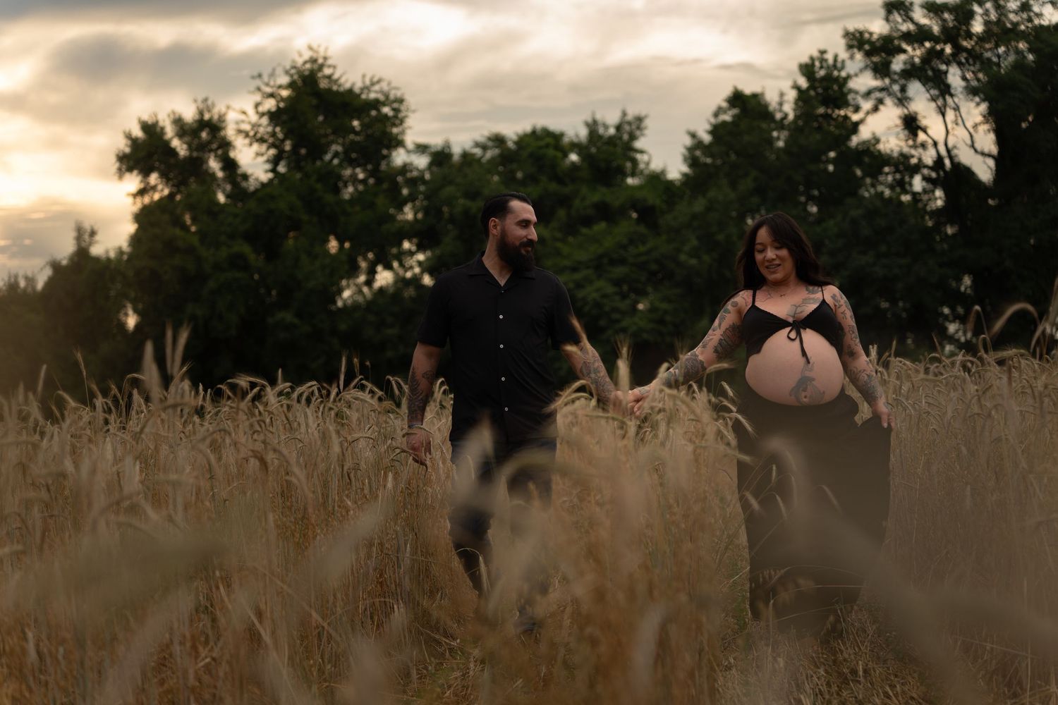 Pregnant couple walks hand-in-hand through golden wheat field at sunset, trees in background.