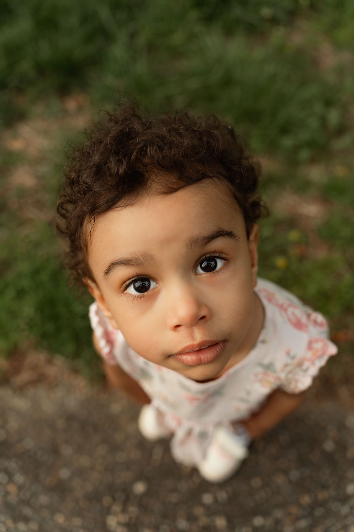 Adorable curly-haired toddler looking up at camera in an outdoor portrait session. Taken by Row And Co Photography at Chatham Manor in FXBG