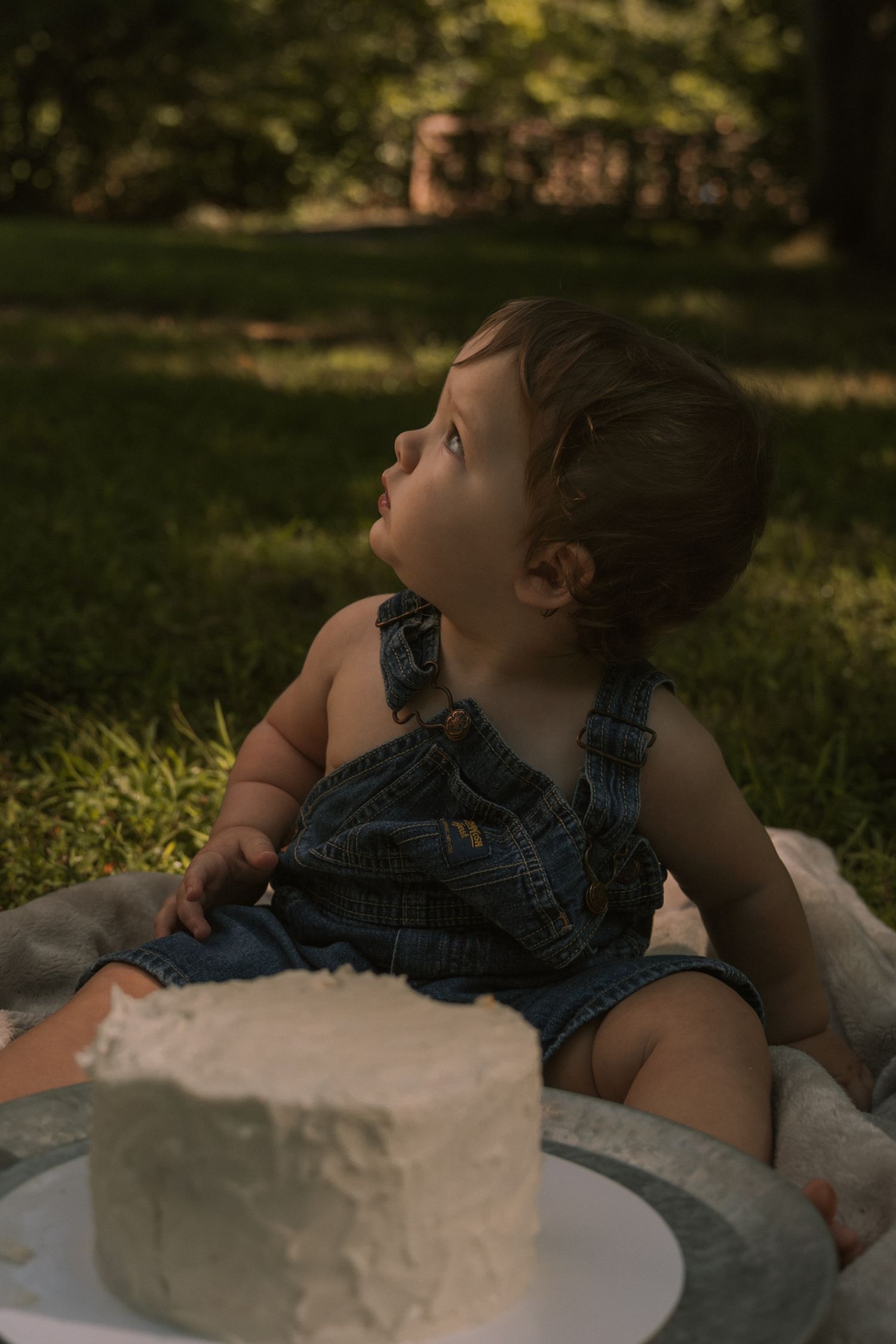 Baby in denim overalls sits on grass blanket beside white birthday cake, looking up curiously outdoors.