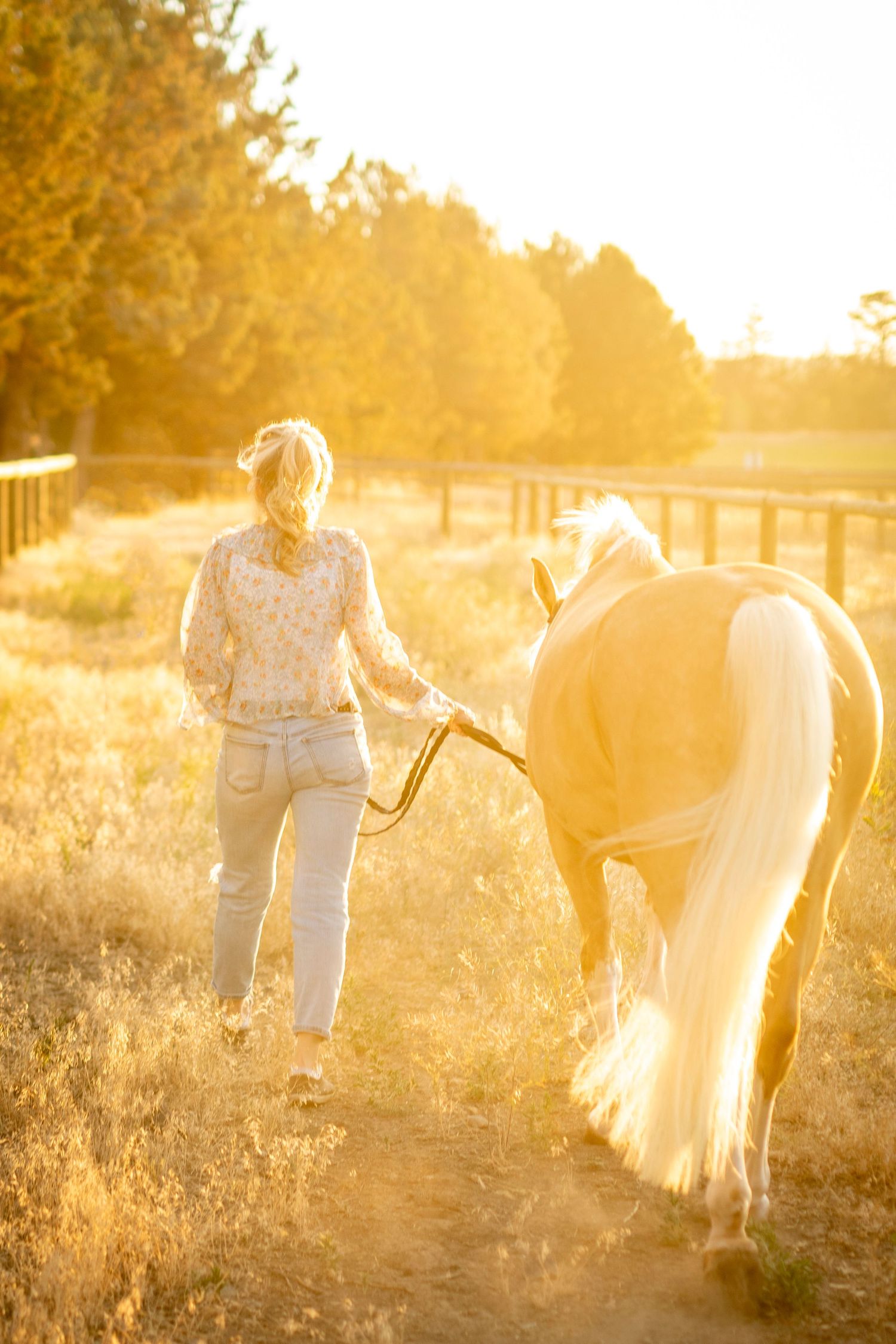 Woman leading a palomino horse through golden sunlit field at sunset, walking along a fenced rural path.