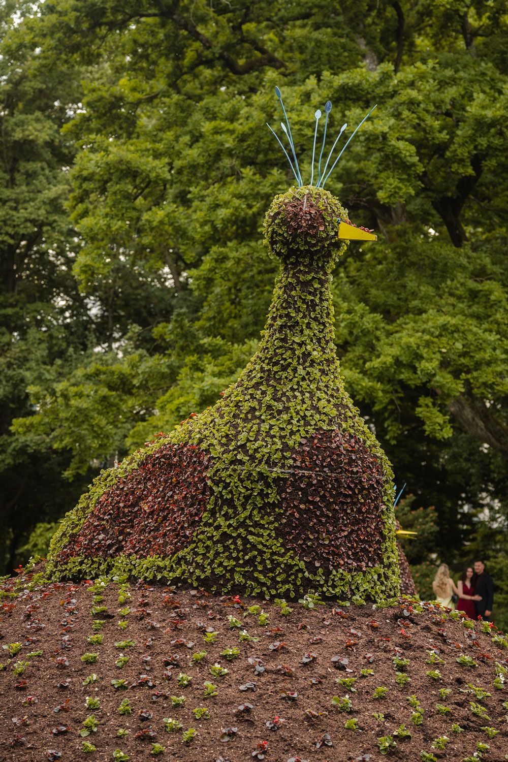 Kurpark Bad Krozingen von Fingerschwur Hochzeiten