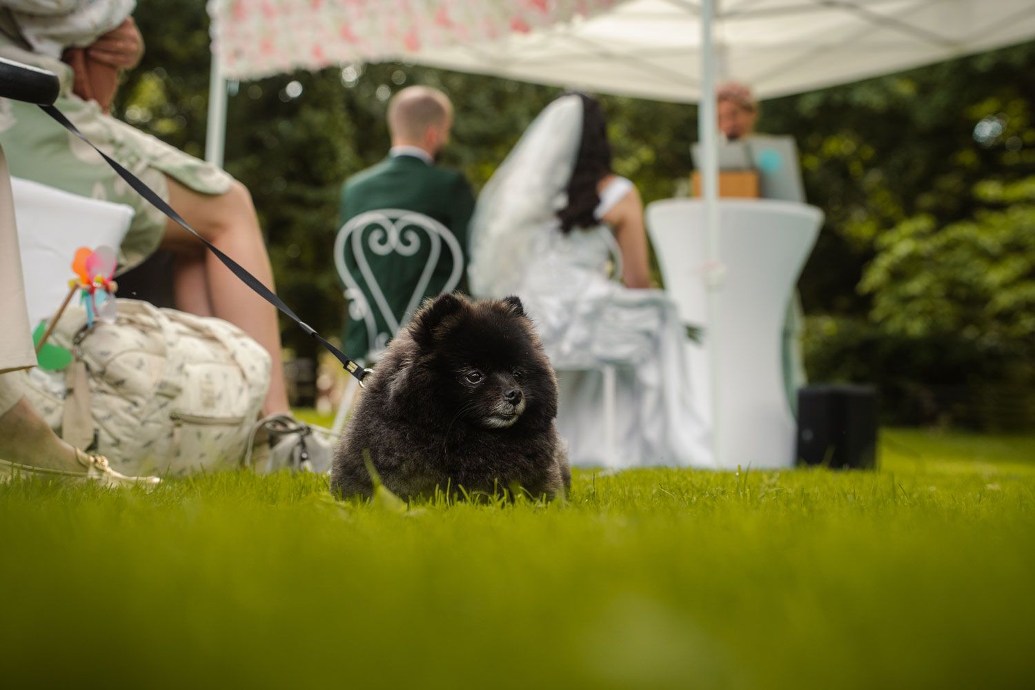 Ein Hund bei der Hochzeit von Fingerschwur Hochzeiten