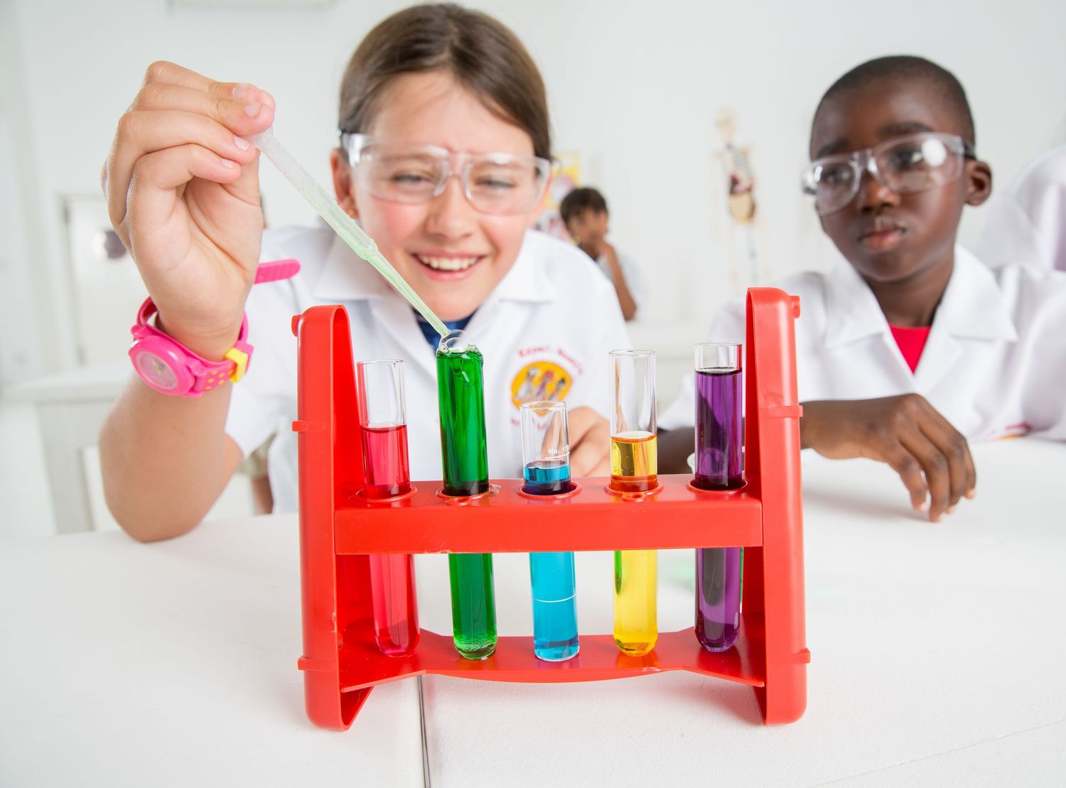 Students examine colorful solutions in test tubes arranged in red laboratory rack.