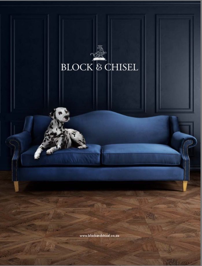 A Dalmatian dog lounges on a luxurious navy blue sofa against a dark paneled wall with Block & Chisel branding.