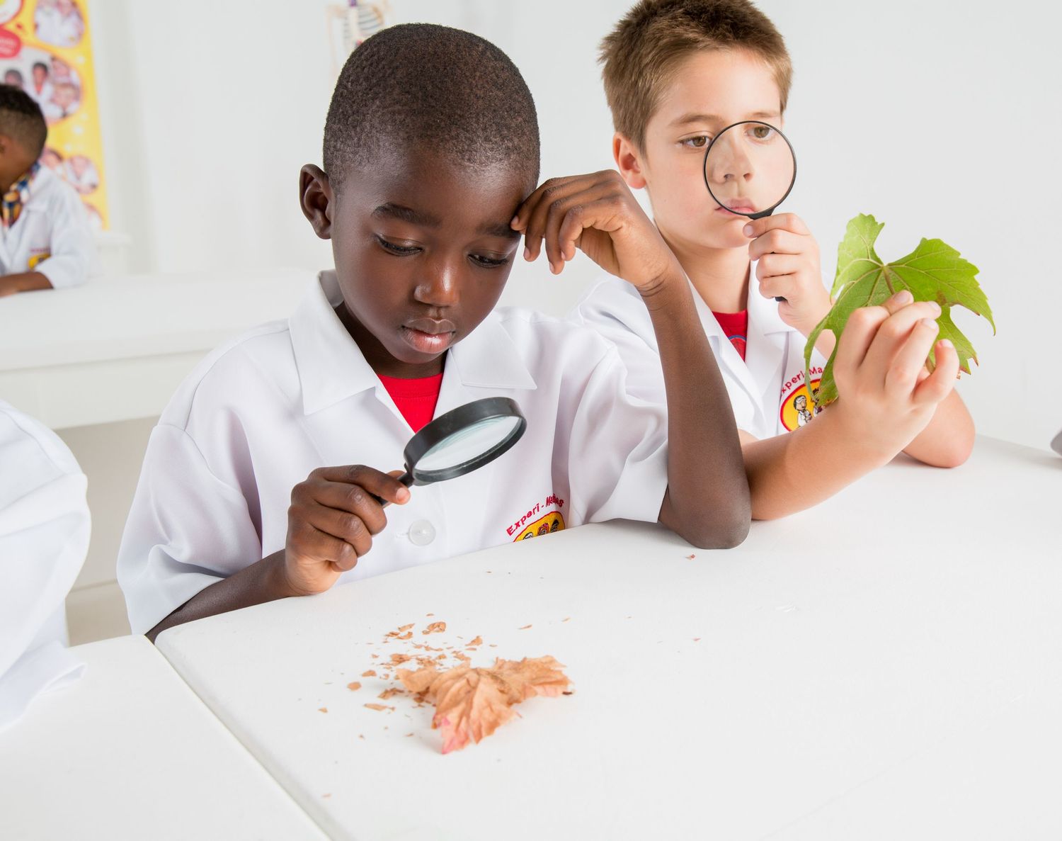 Students examine specimens with magnifying glass during science class observation.