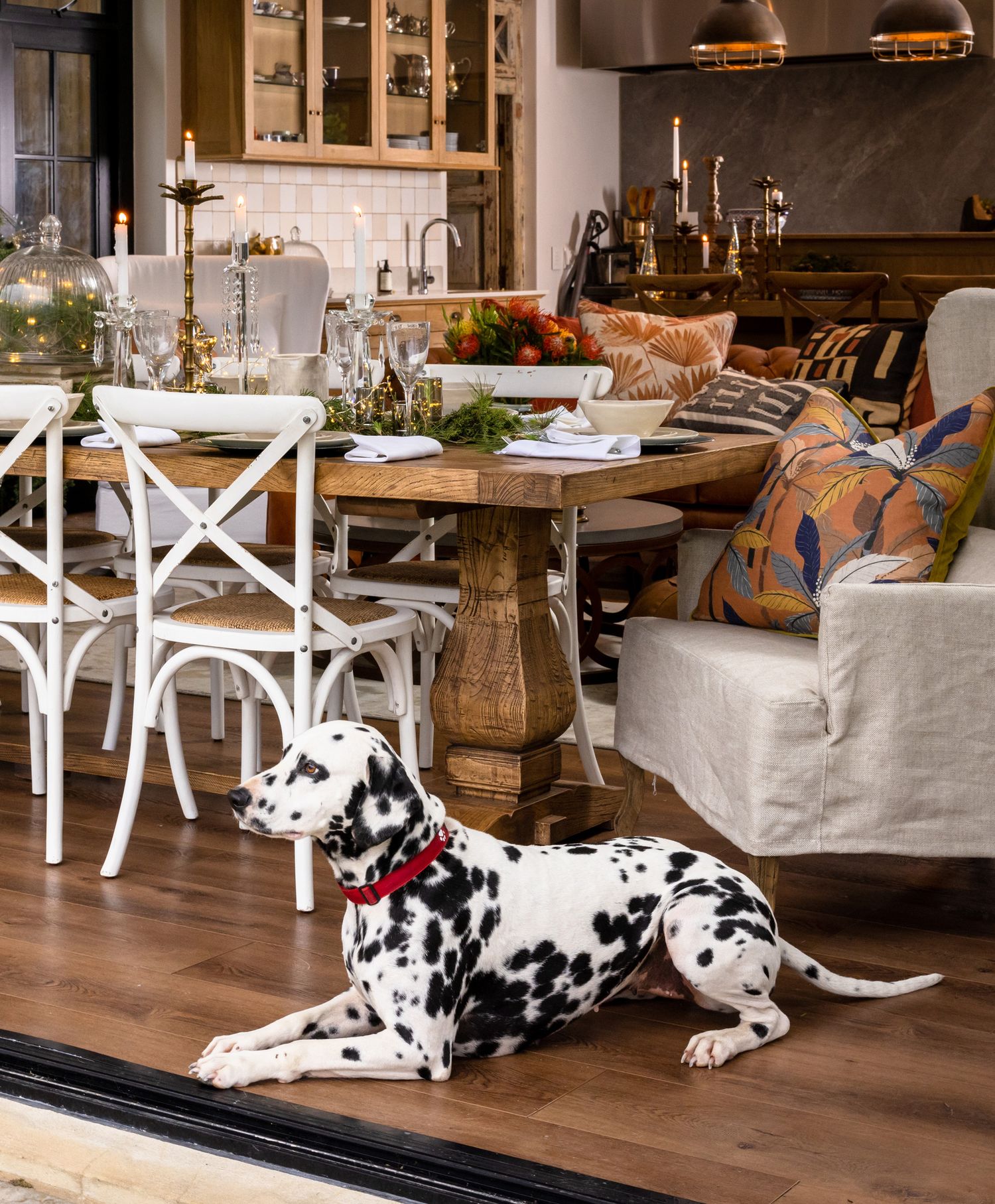 Dalmatian dog rests on hardwood floor near rustic dining table with white cross-back chairs.