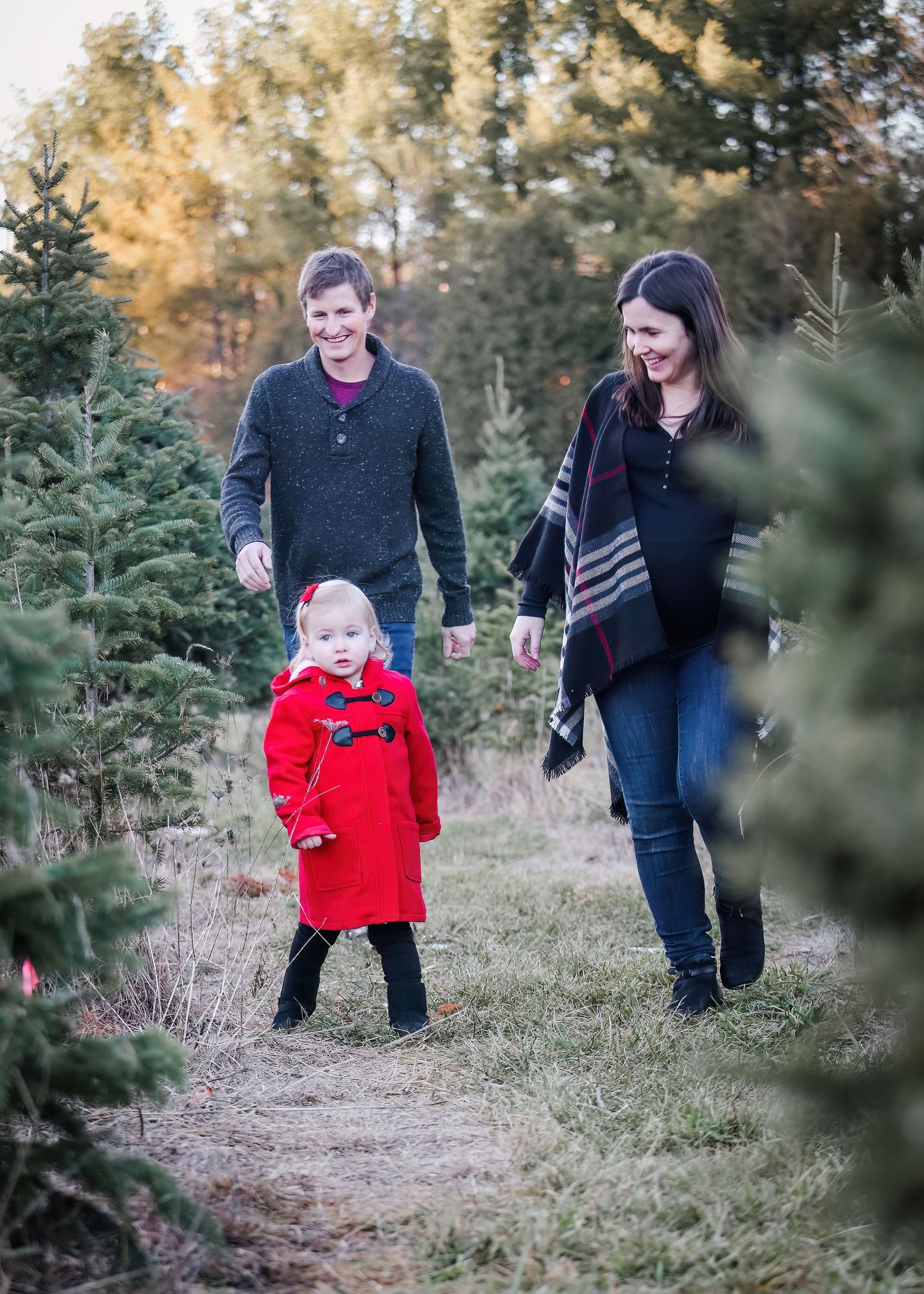 Family walking through a Christmas tree farm on a sunny day.