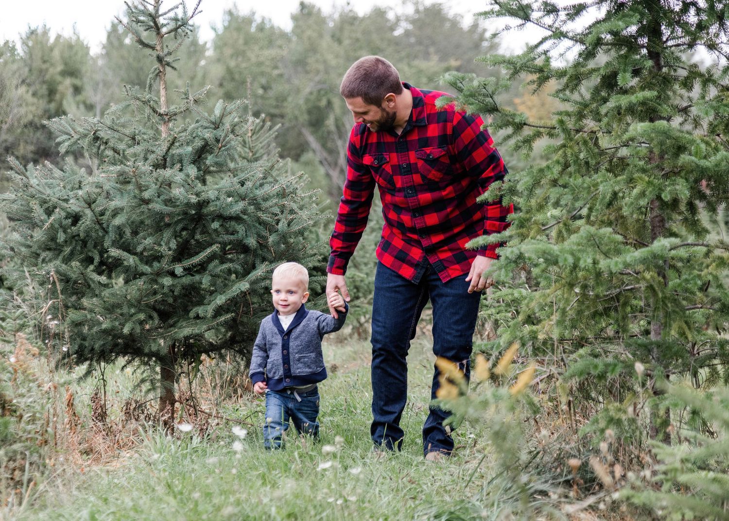 A series of candid moments in a pine forest with someone wearing a red plaid flannel shirt among evergreen trees.