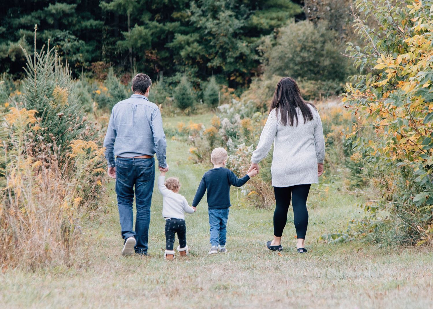 People walking together through a scenic autumn field with golden grass.