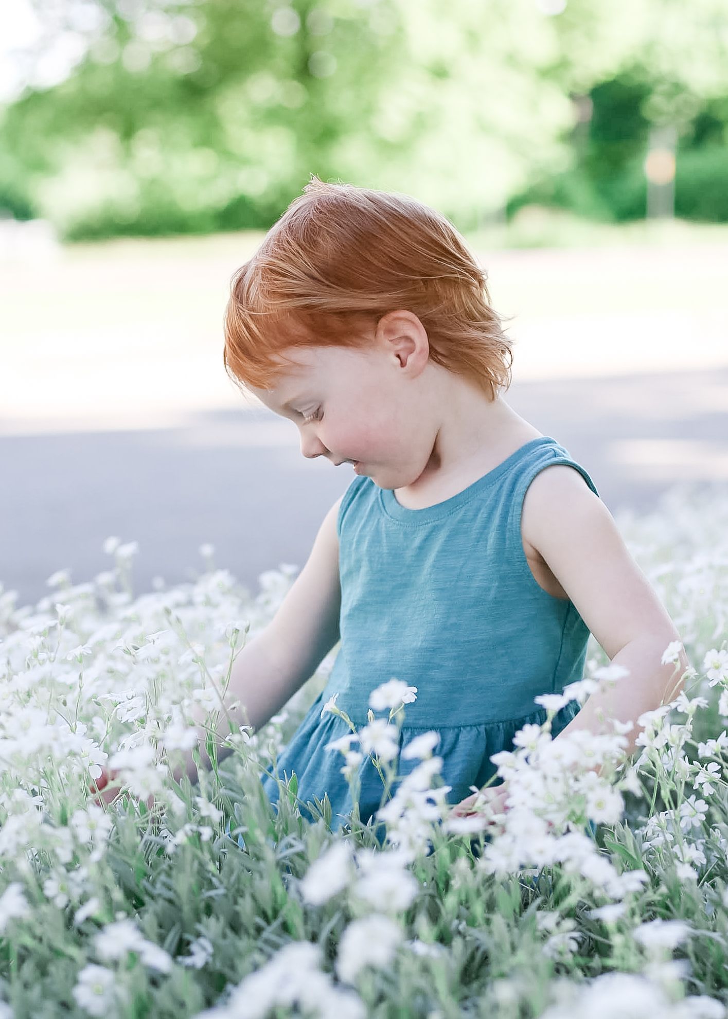 A person in a blue dress gently leans over a field of delicate white wildflowers on a bright summer day.