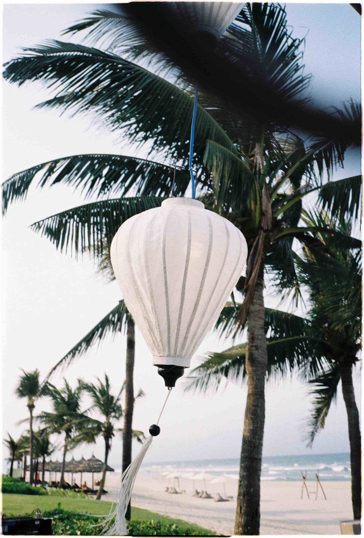 White silk lantern hanging near palm trees with a sandy beach and thatched umbrellas in background.