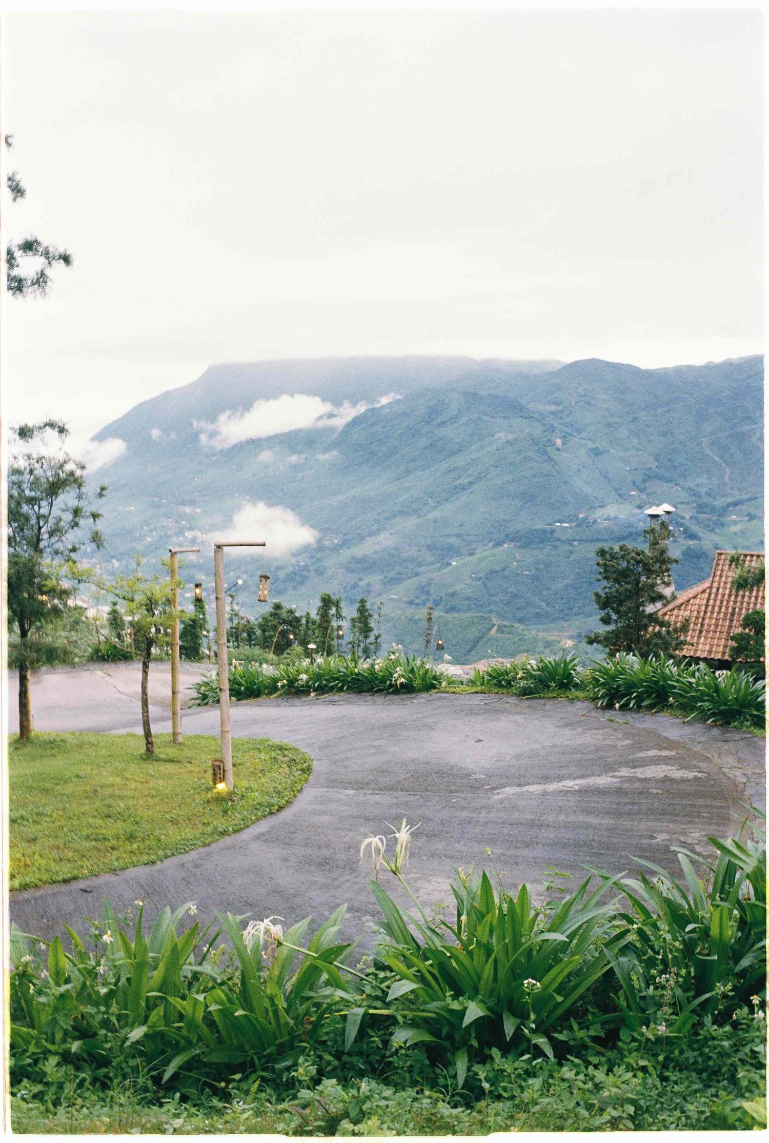wedding: mountain landscape with paved area surrounded by tropical plants and distant hills, by AnhVuWedding.