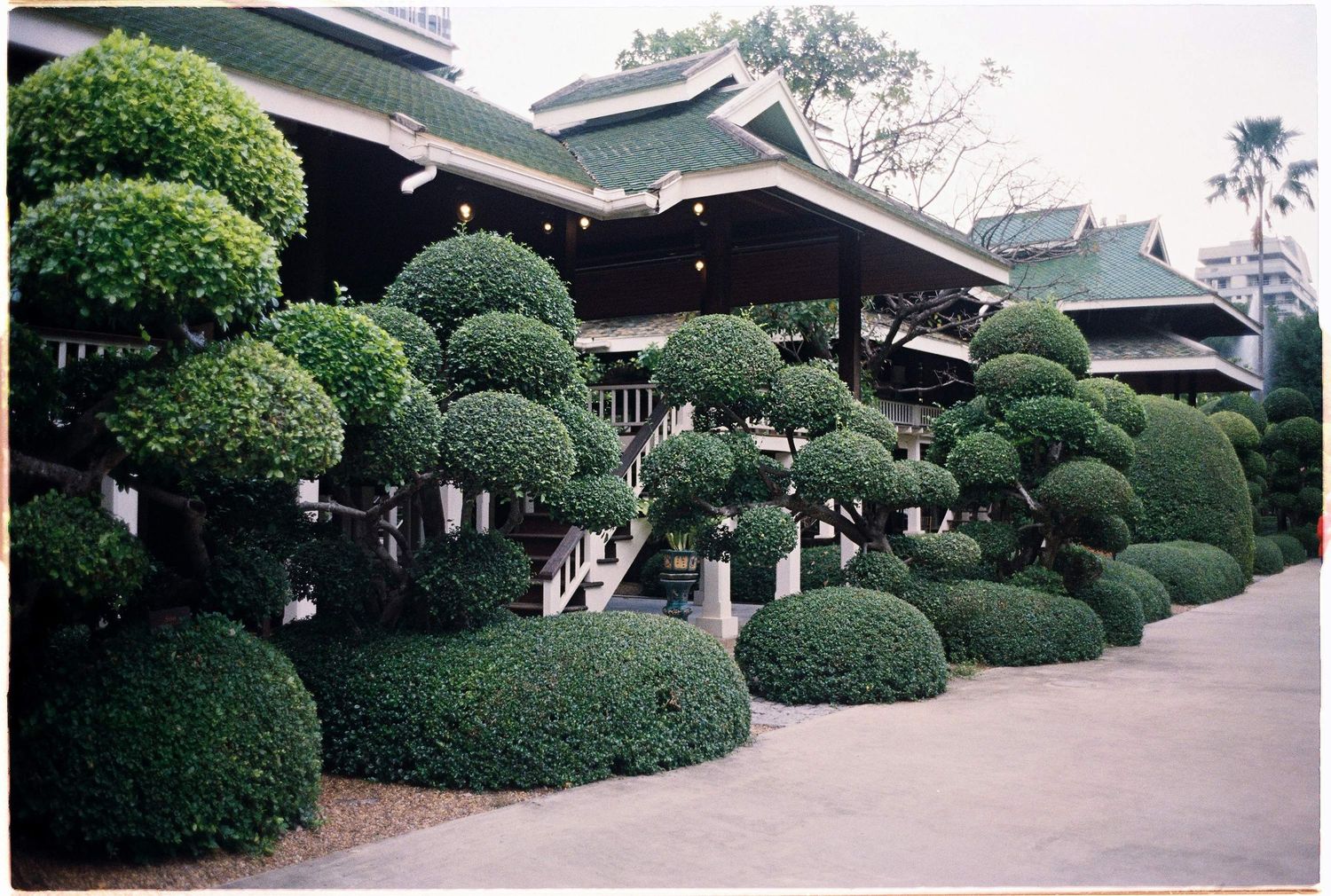 photo: meticulously manicured topiary gardens with rounded shrubs line a traditional Asian-style building pathway, by AnhVuWedding.