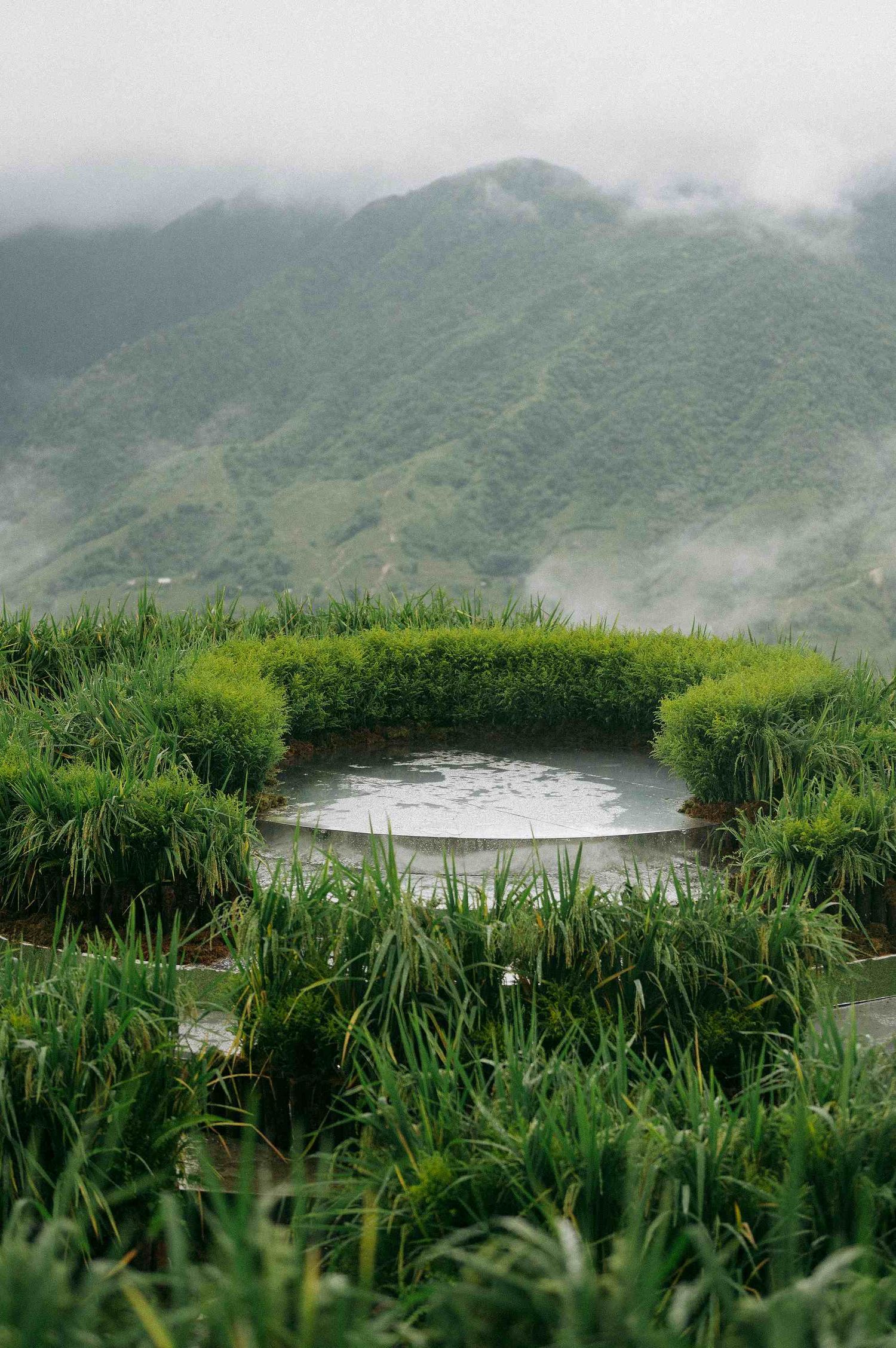 wedding: misty mountain landscape with lush green vegetation surrounding a small pond, by AnhVuWedding.