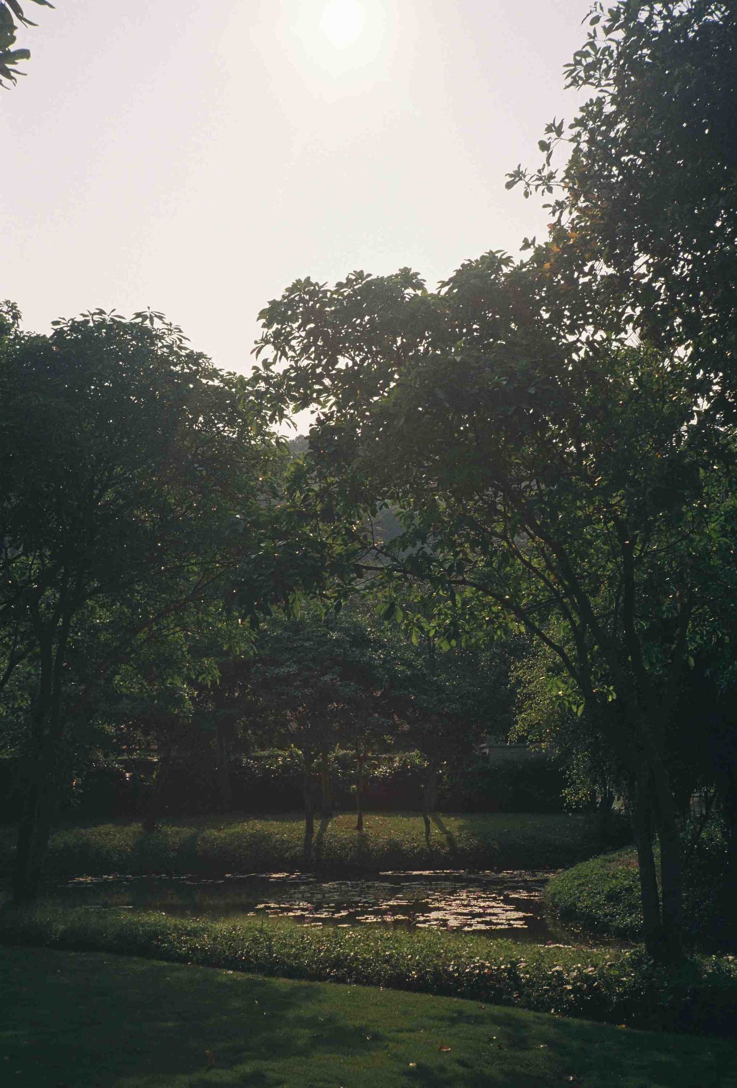Lang Co wedding: serene garden landscape with trees and a pond during golden hour, by AnhVuWedding.