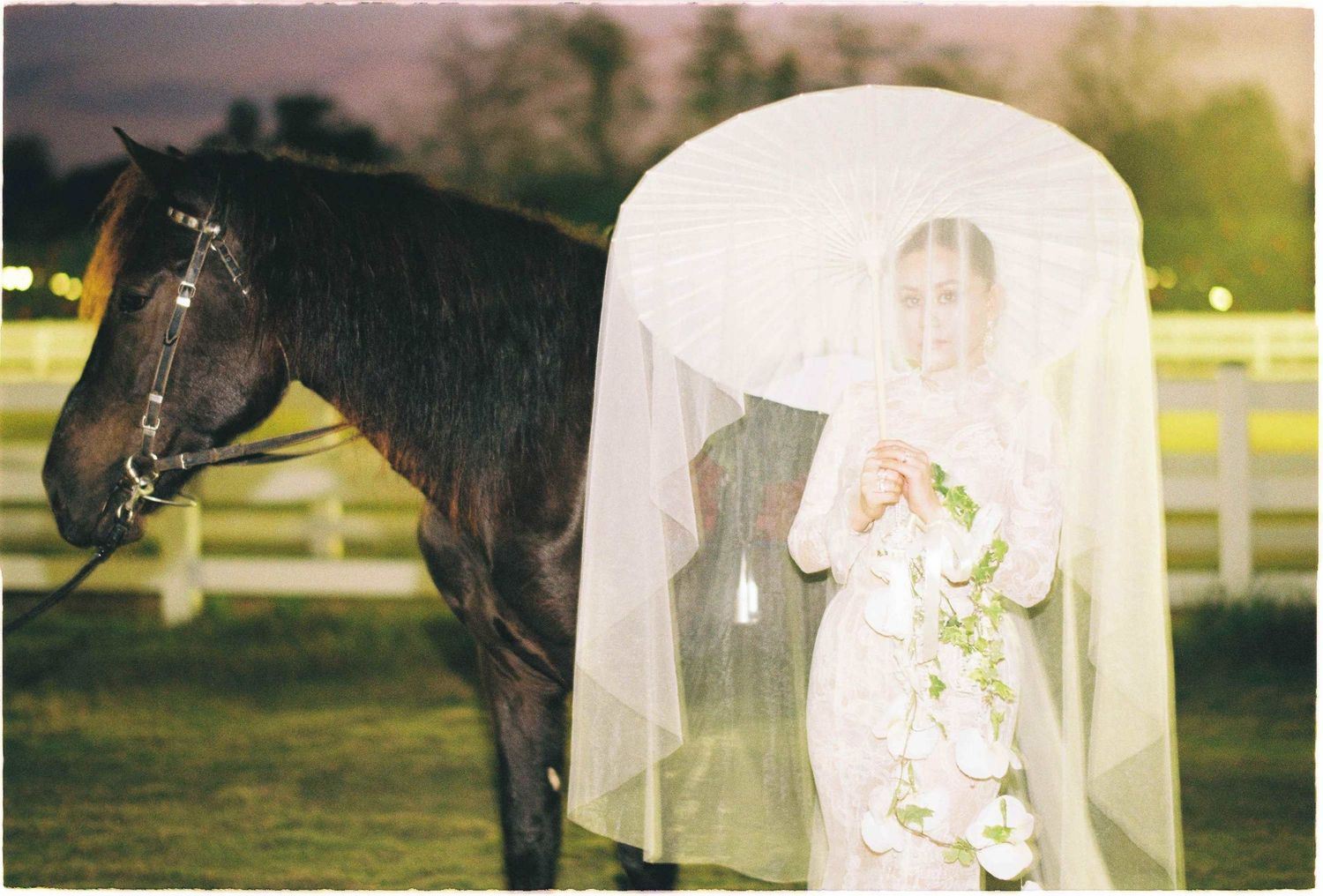Saigon pre-wedding: white wedding dress and veil photographed alongside a horse in golden evening light, by AnhVuWedding.
