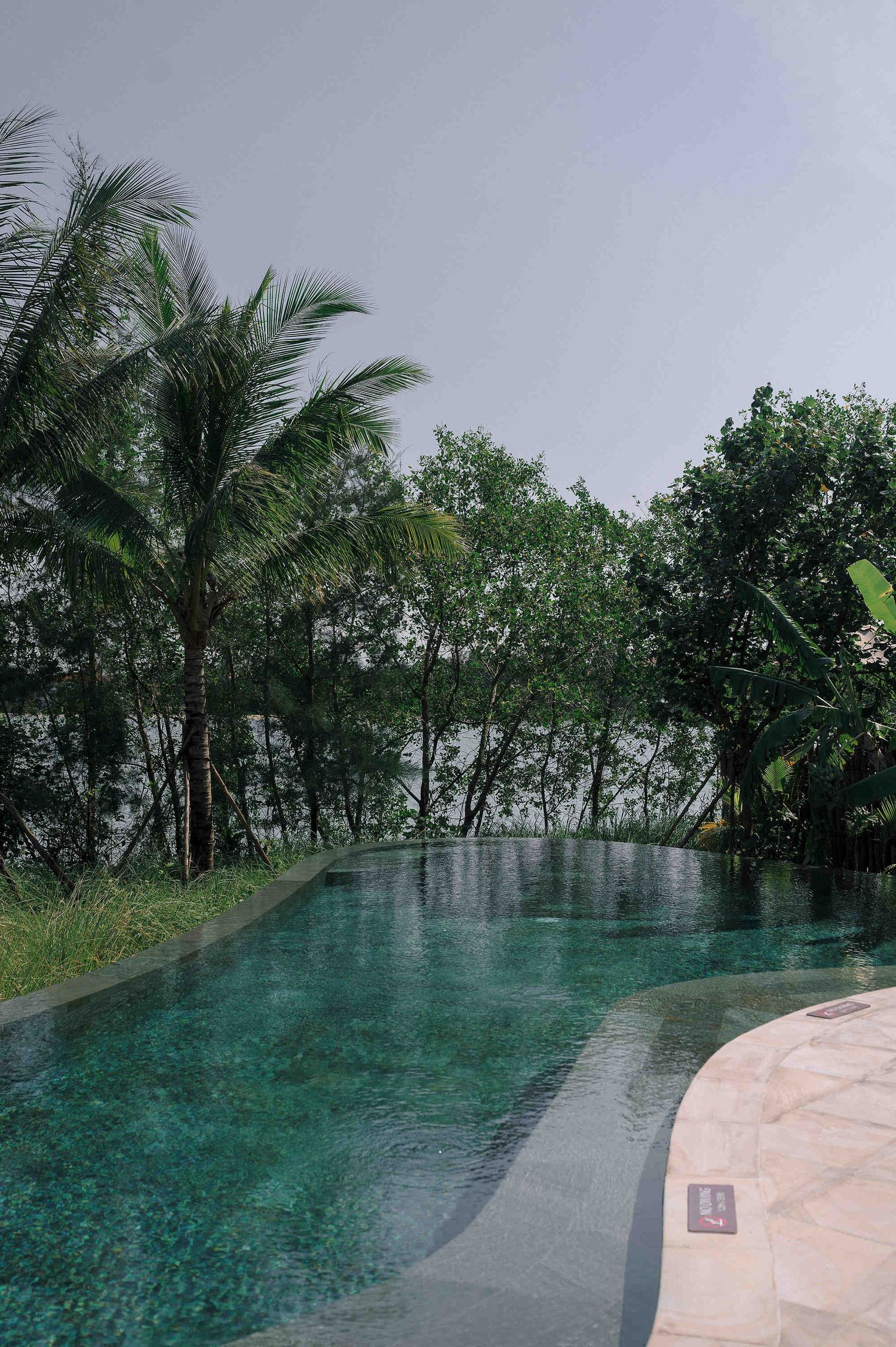 Serene infinity pool surrounded by lush tropical palm trees and greenery overlooking a misty waterway.
