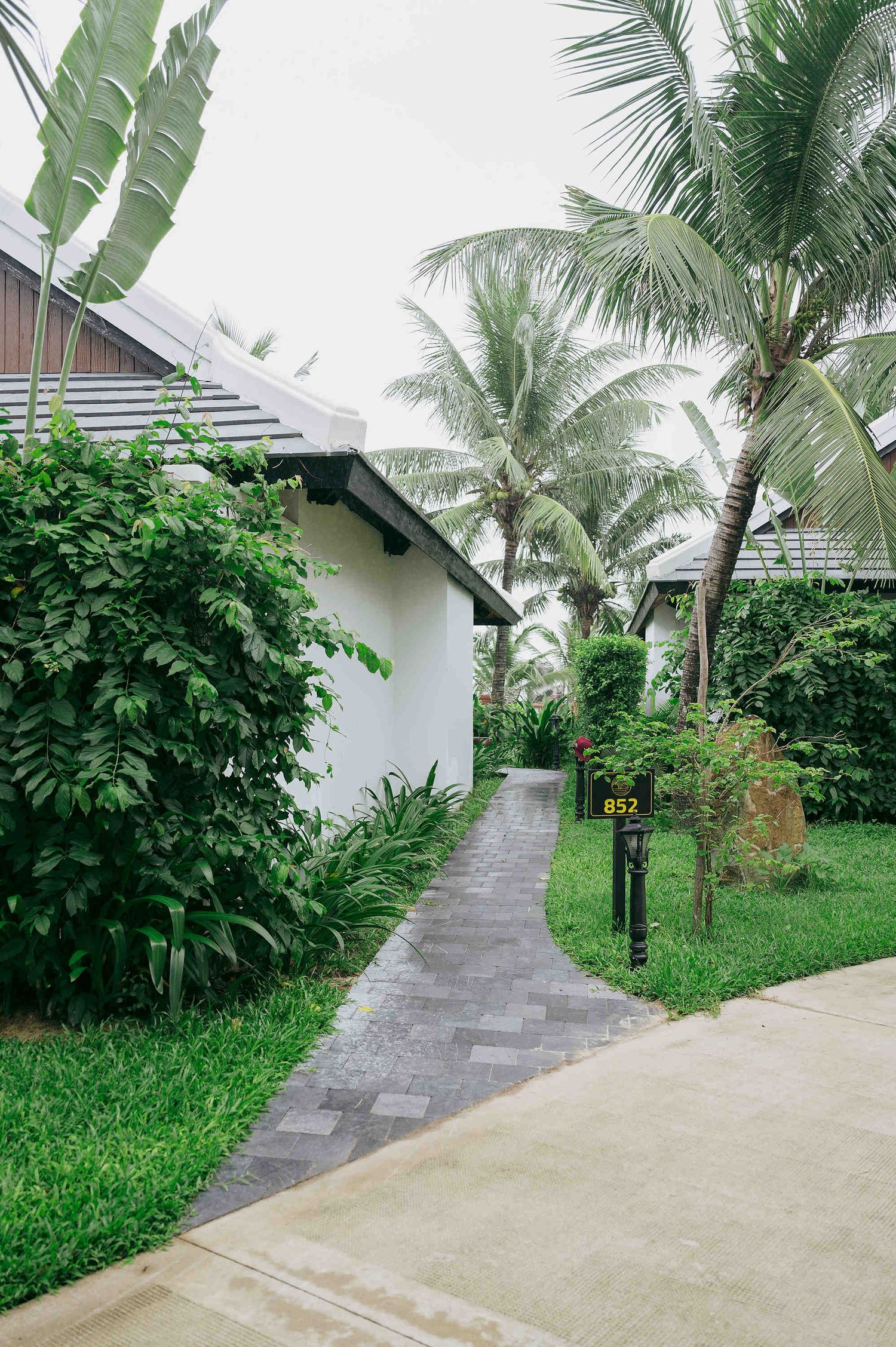 Lush tropical garden pathway leading to a white villa surrounded by palm trees and green foliage.