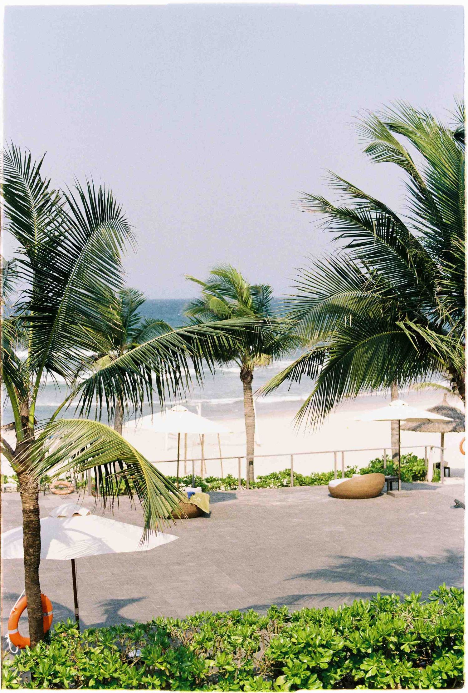 Tropical beach resort with swaying palm trees, white sand, and ocean views under a clear sky.