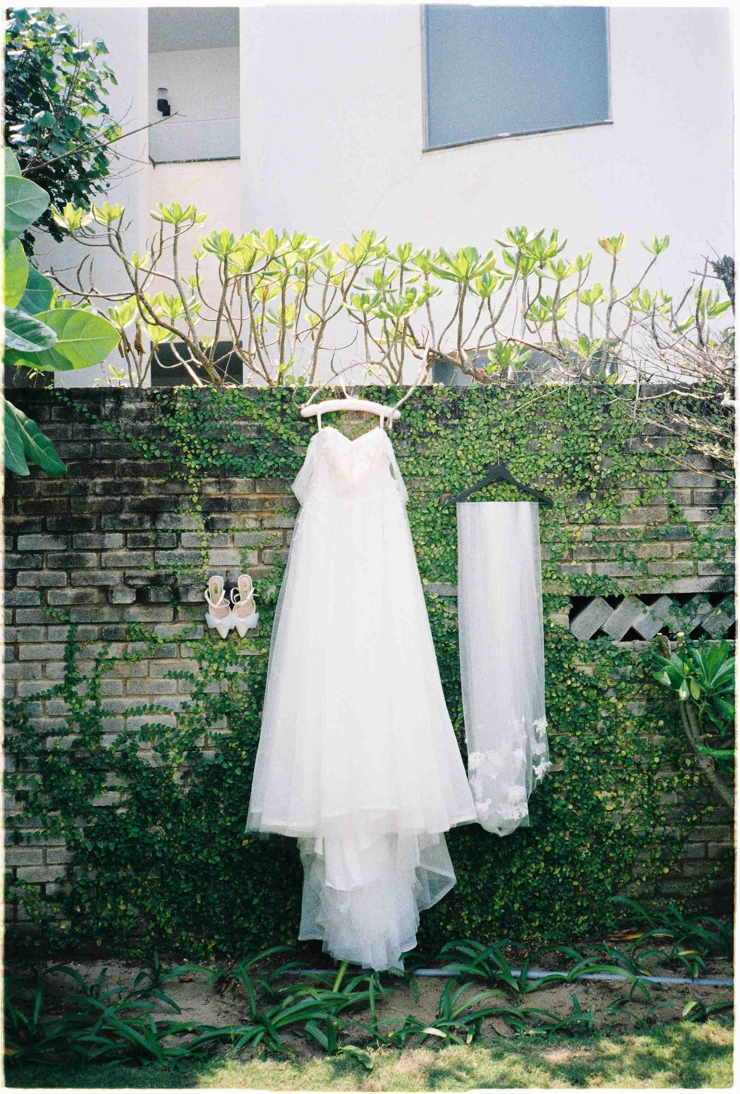 White wedding dress and veil hanging on ivy-covered brick wall in lush garden setting.