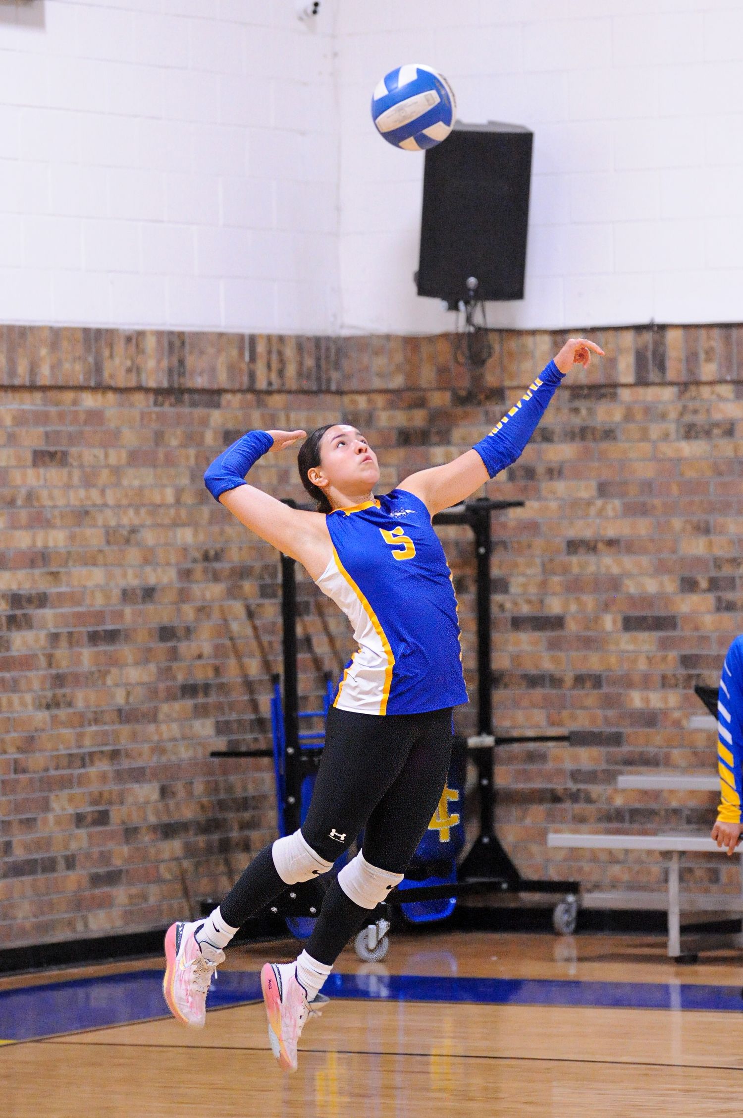 Female volleyball player in blue and gold uniform jumping to serve the ball during an indoor gym match.