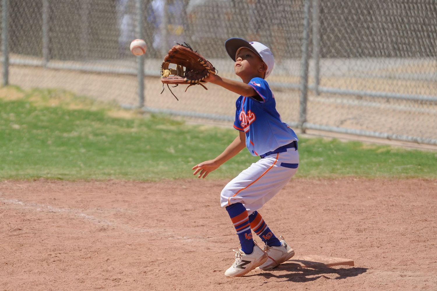 Young baseball player in blue uniform catching a ball with mitt during a little league game on a sunny day.