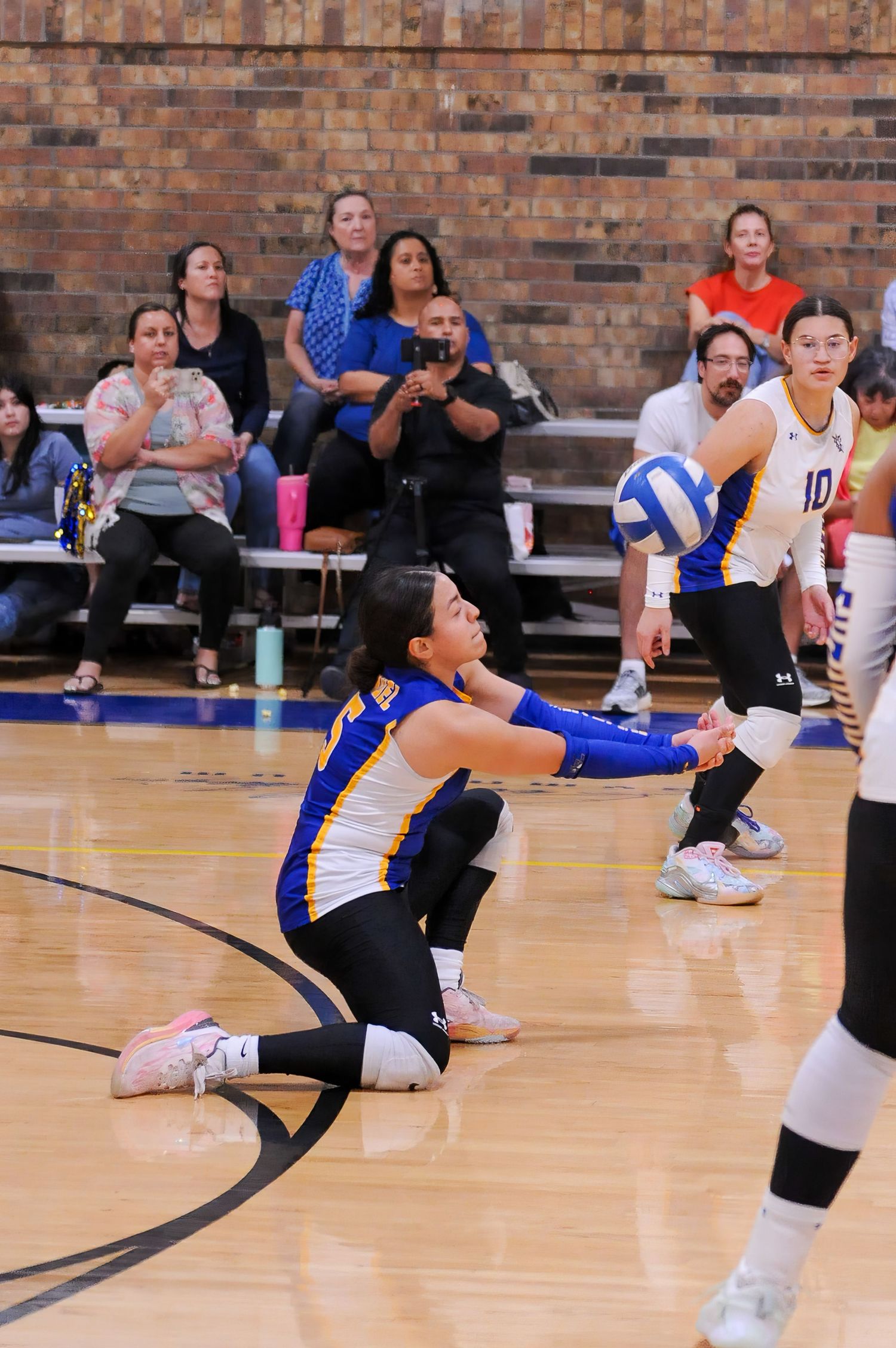 Female volleyball player performs a dig shot on gym floor during indoor match with spectators watching in background.