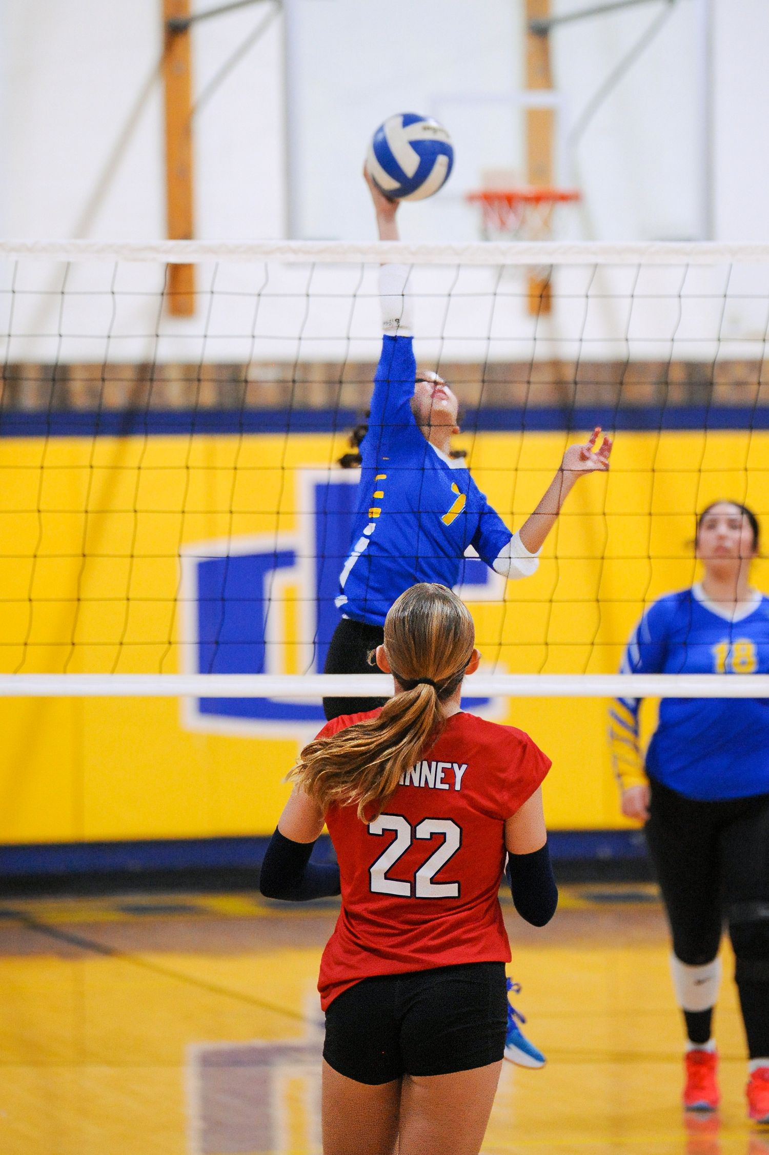 A volleyball player in blue jumps to spike the ball over the net as player number 22 in red watches during an indoor match.