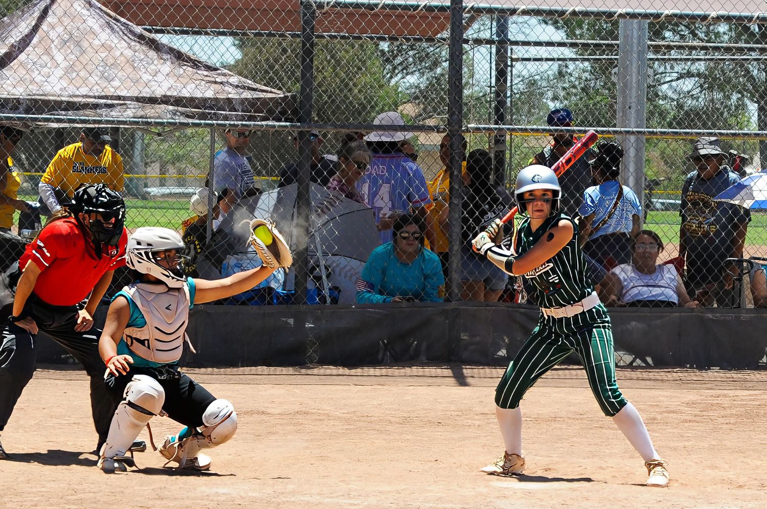 Youth softball batter prepares to swing as catcher and umpire watch during an outdoor league game.
