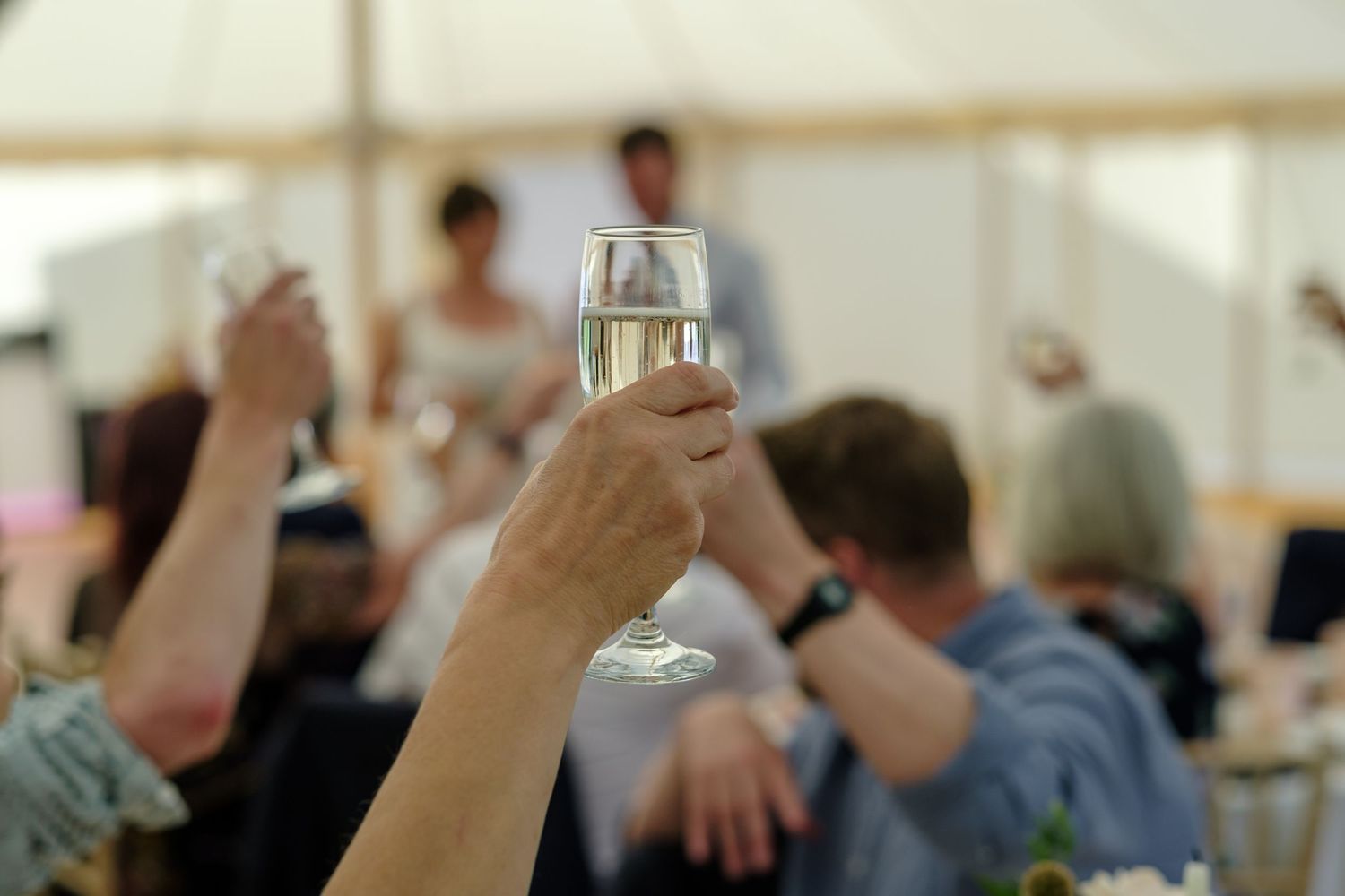 Wedding speeches by Norfolk wedding photographer covering Norfolk, Norwich, Suffolk, Cambridgeshire and throughout the UK.