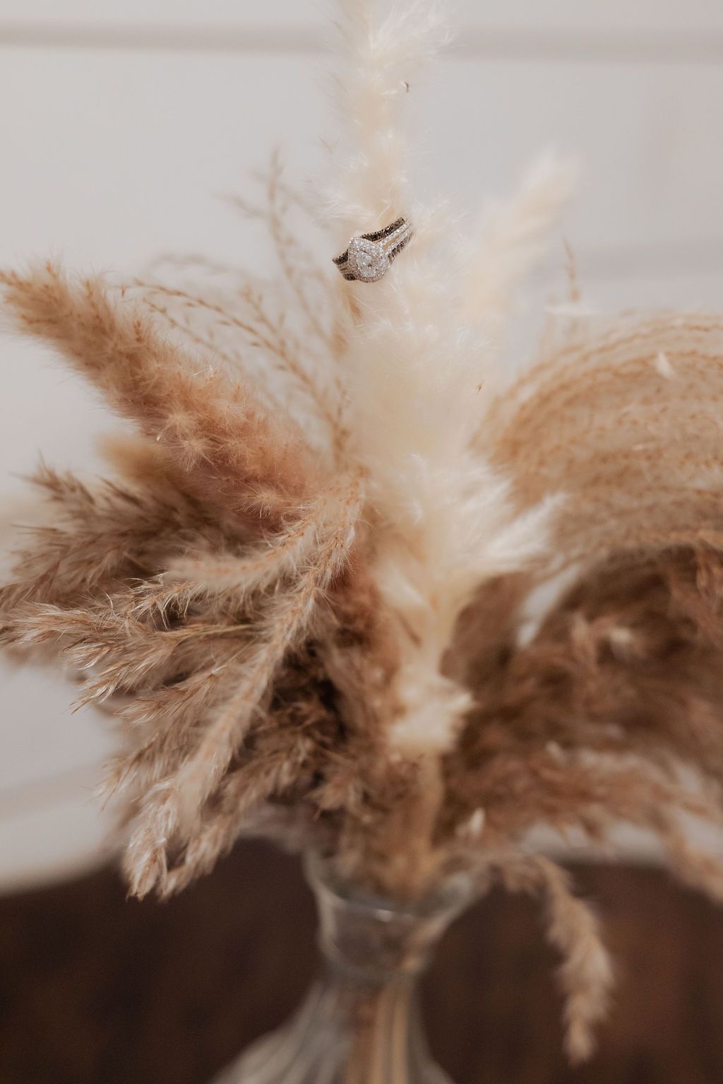Detail shot of the wedding ring on pampas grass for Oklahoma Wedding