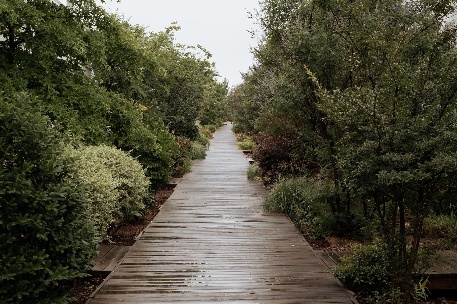 Carlton Landing walking pathway with trees