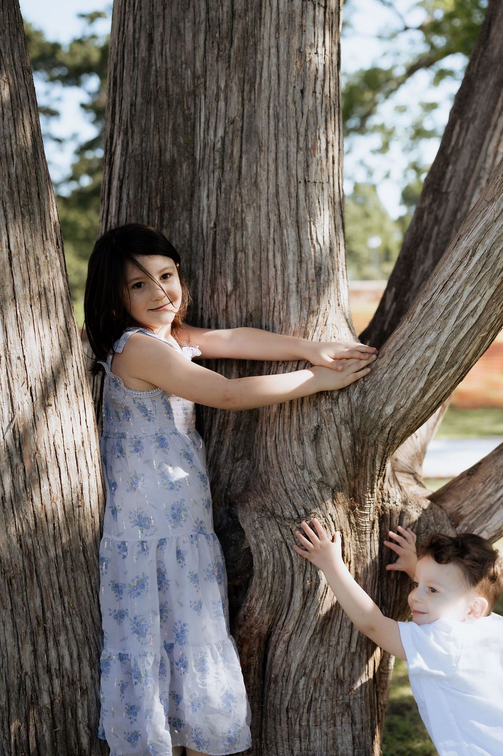 Girl and brother climbing a tree at Woodward Park by Tulsa Photographer- Capturing Candid Photography