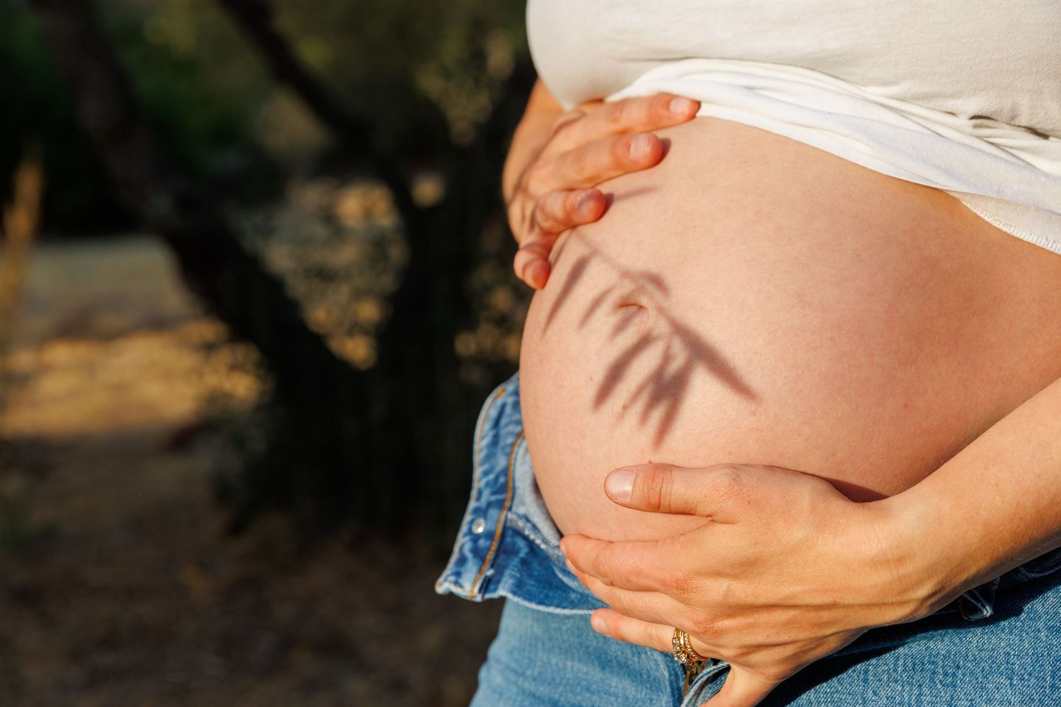 Close-up of Lily’s baby bump with a shadow of an olive branch across it, hands gently cradling her belly.
