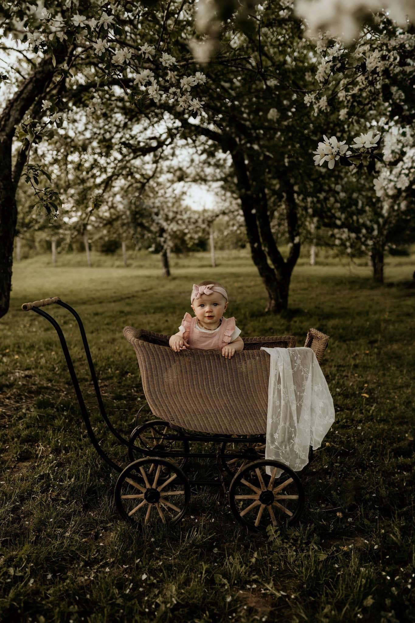 Photo session