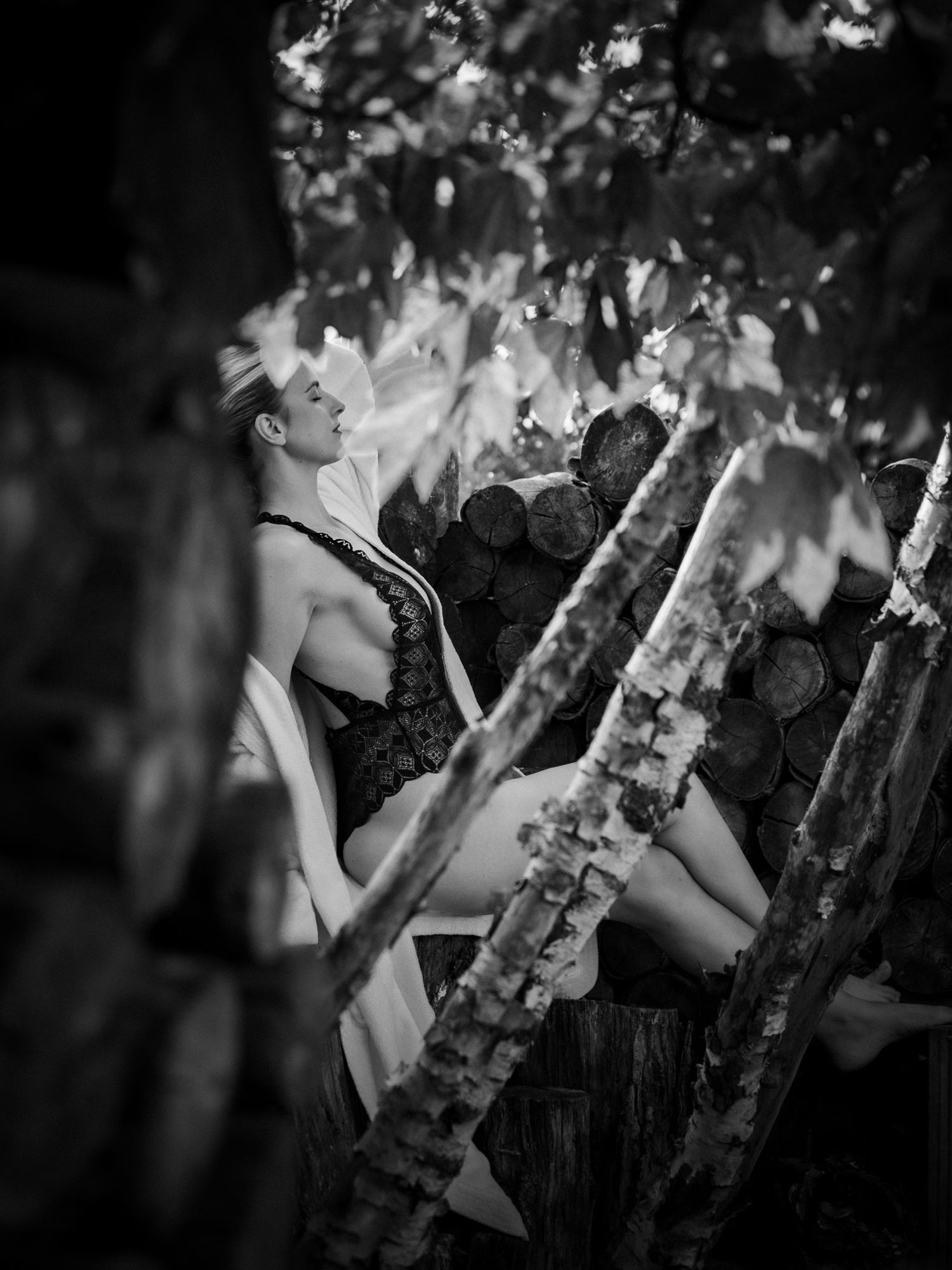 Artistic black and white photograph of birch tree trunks.
