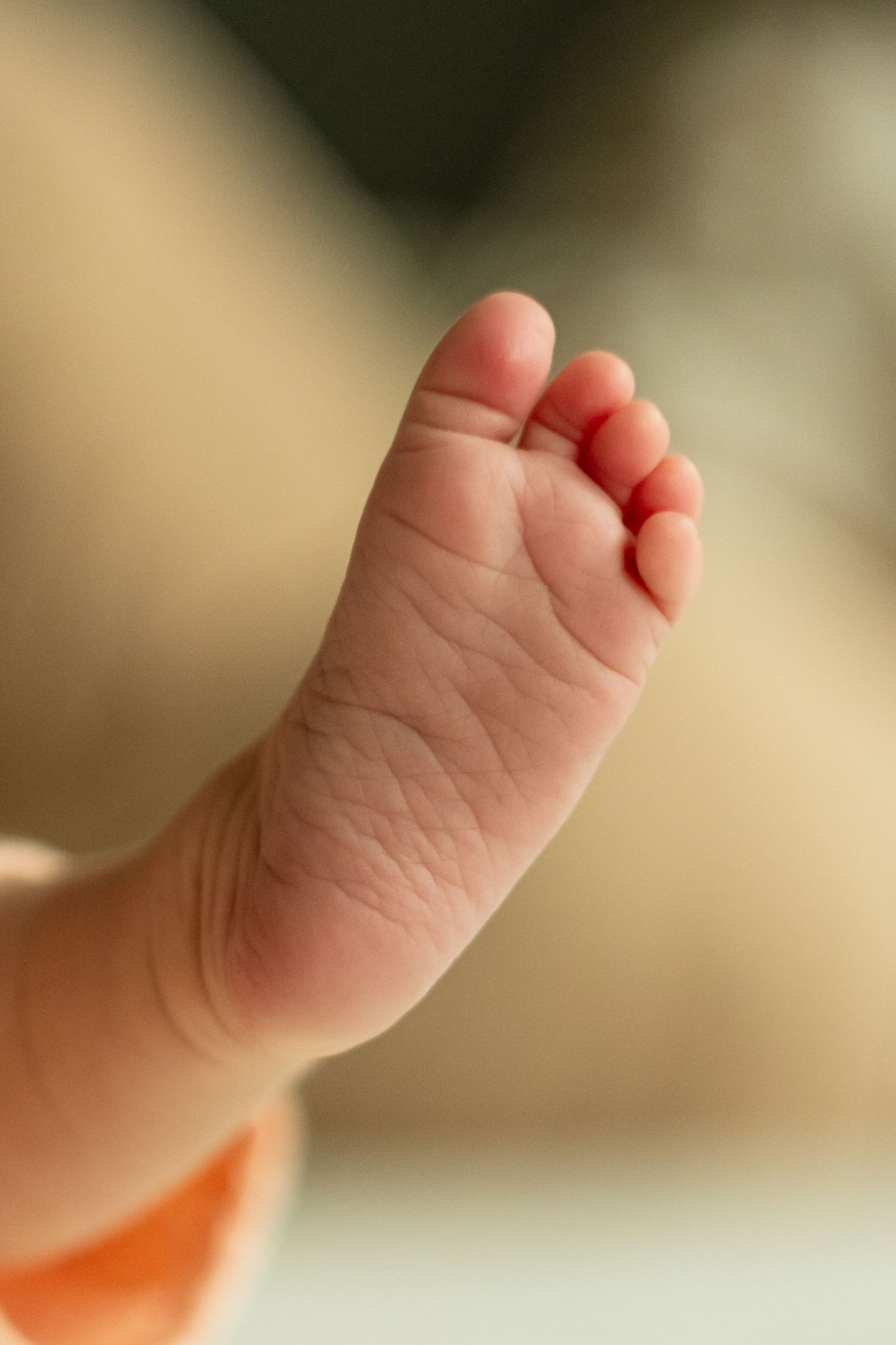 Close-up of tiny baby feet against blurred background.