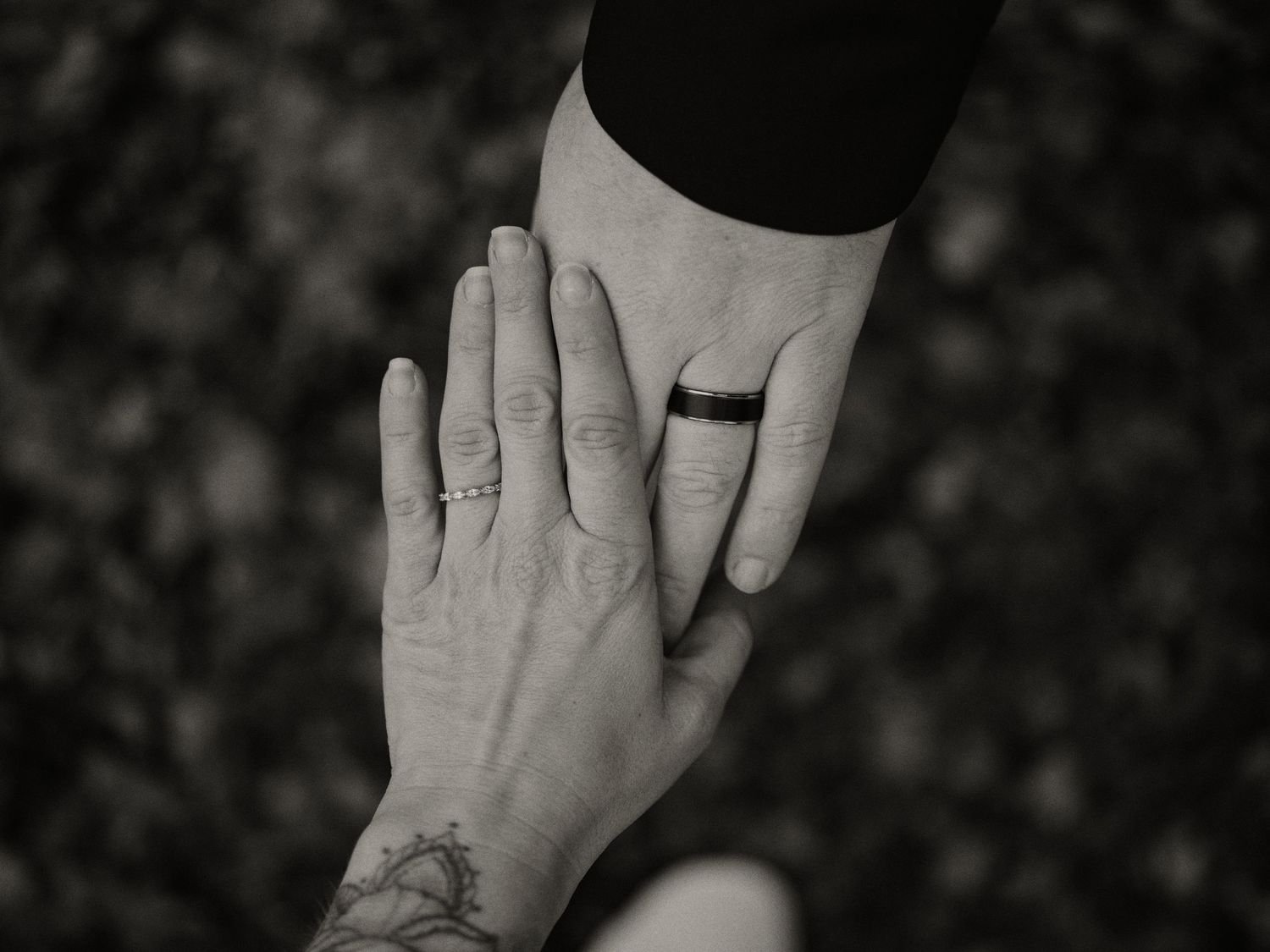 Seven hands wearing wedding rings arranged in a row against a dark background show off matching black and gold bands.