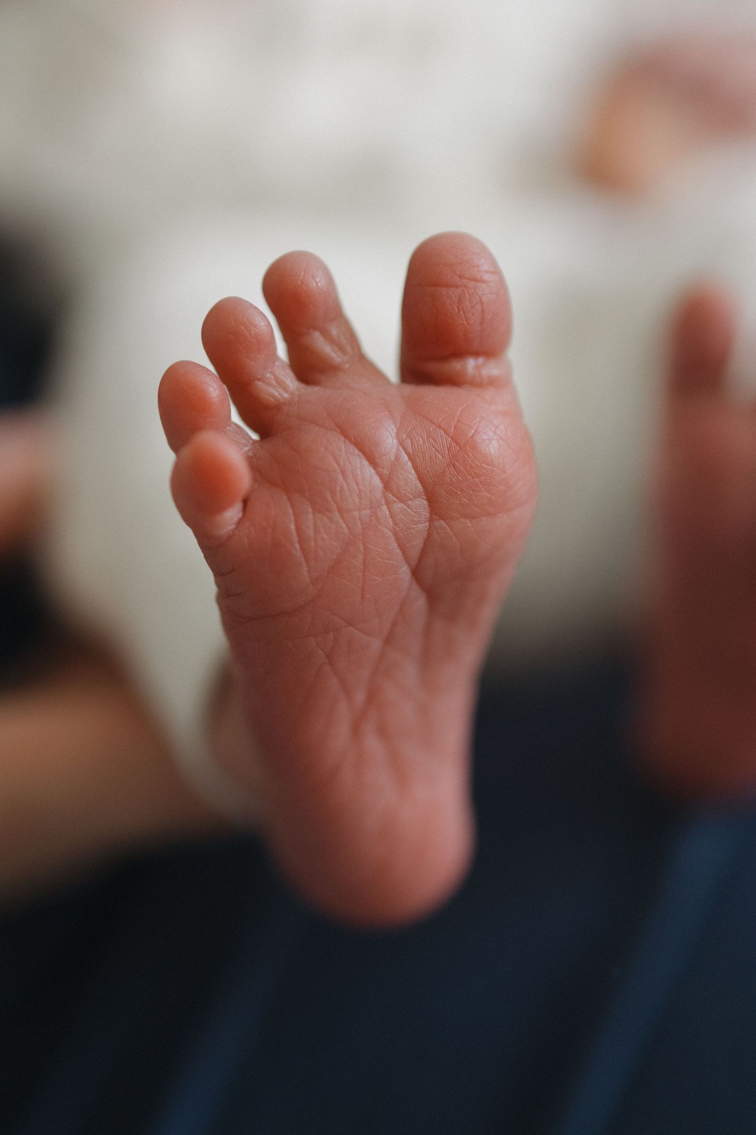 Close-up macro shot of tiny baby toes against dark background.