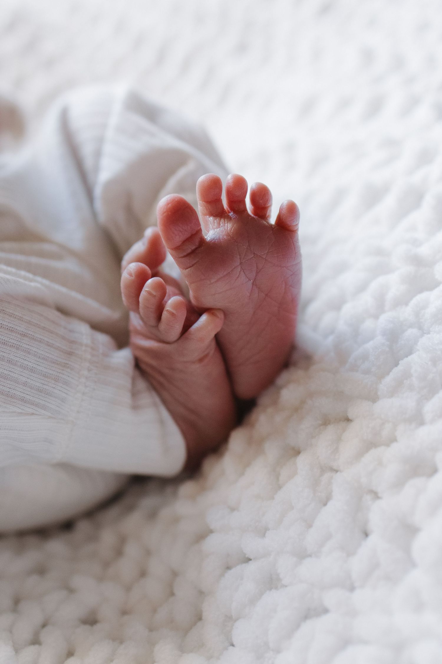 Close-up of tiny baby feet resting on white textured blanket.