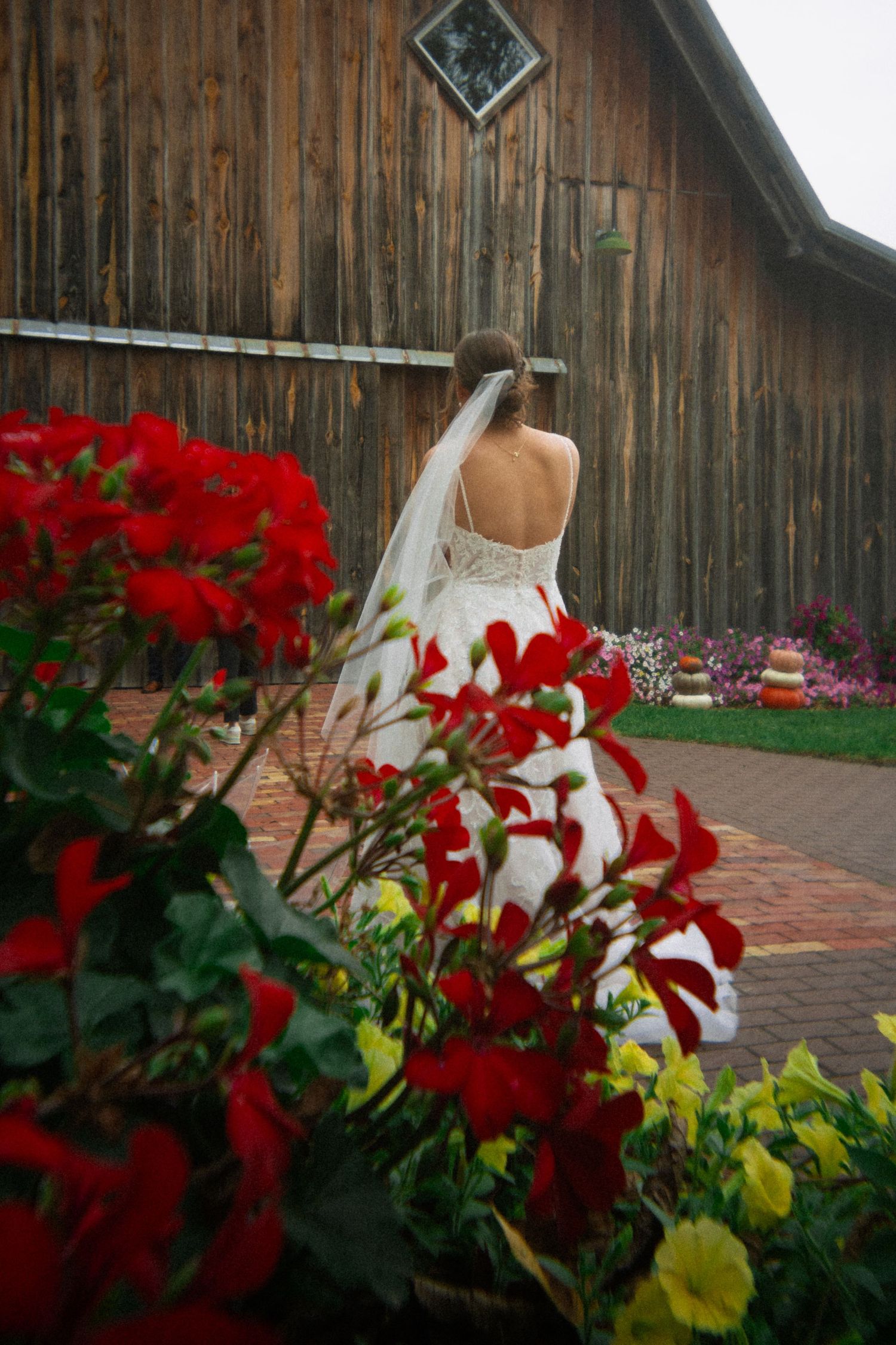 Red and yellow flowers bloom against a rustic wooden barn wall creating vibrant garden contrast.