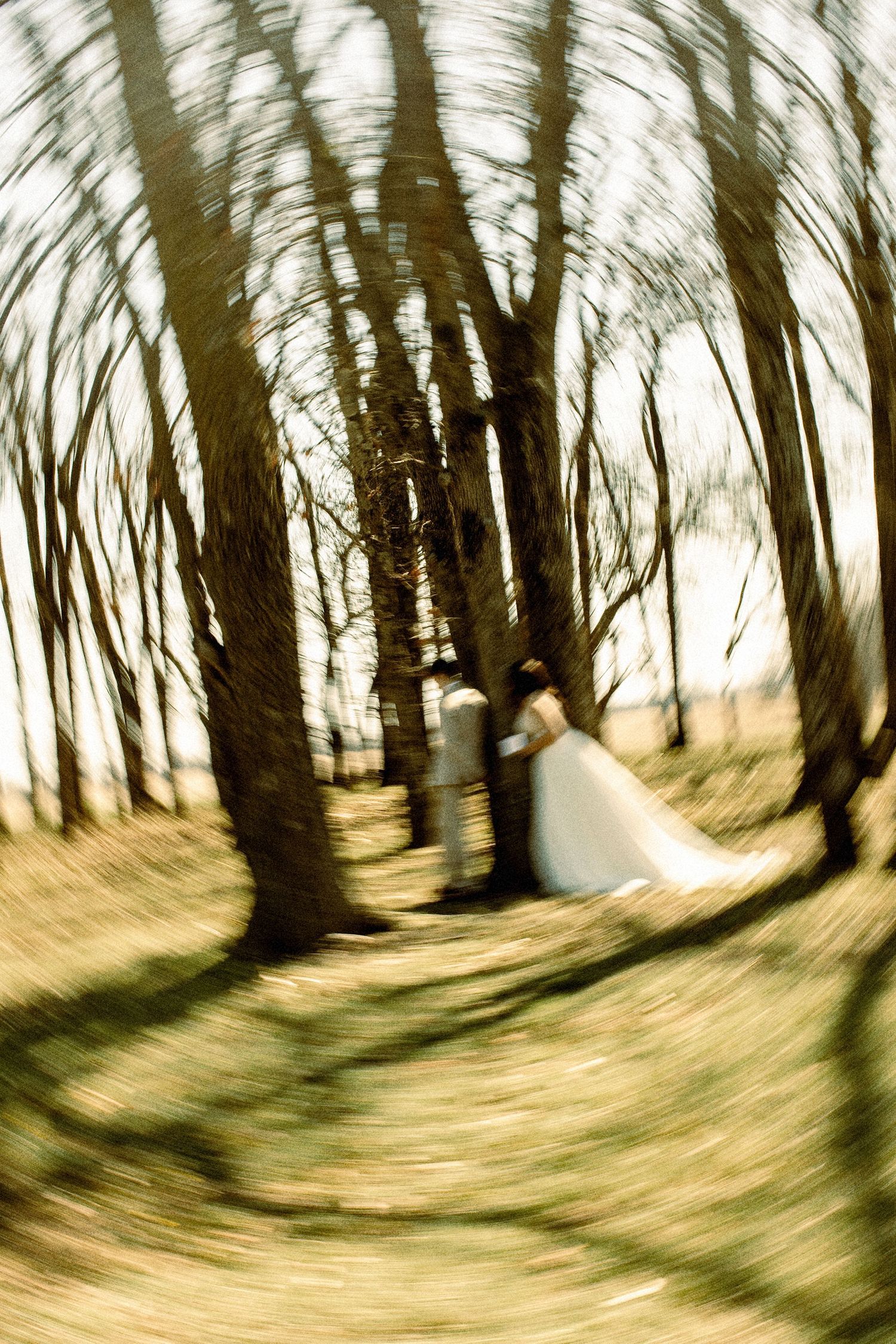 Blurred artistic wedding photo of bride and groom embracing among bare trees in a forest with dreamy spin effect.