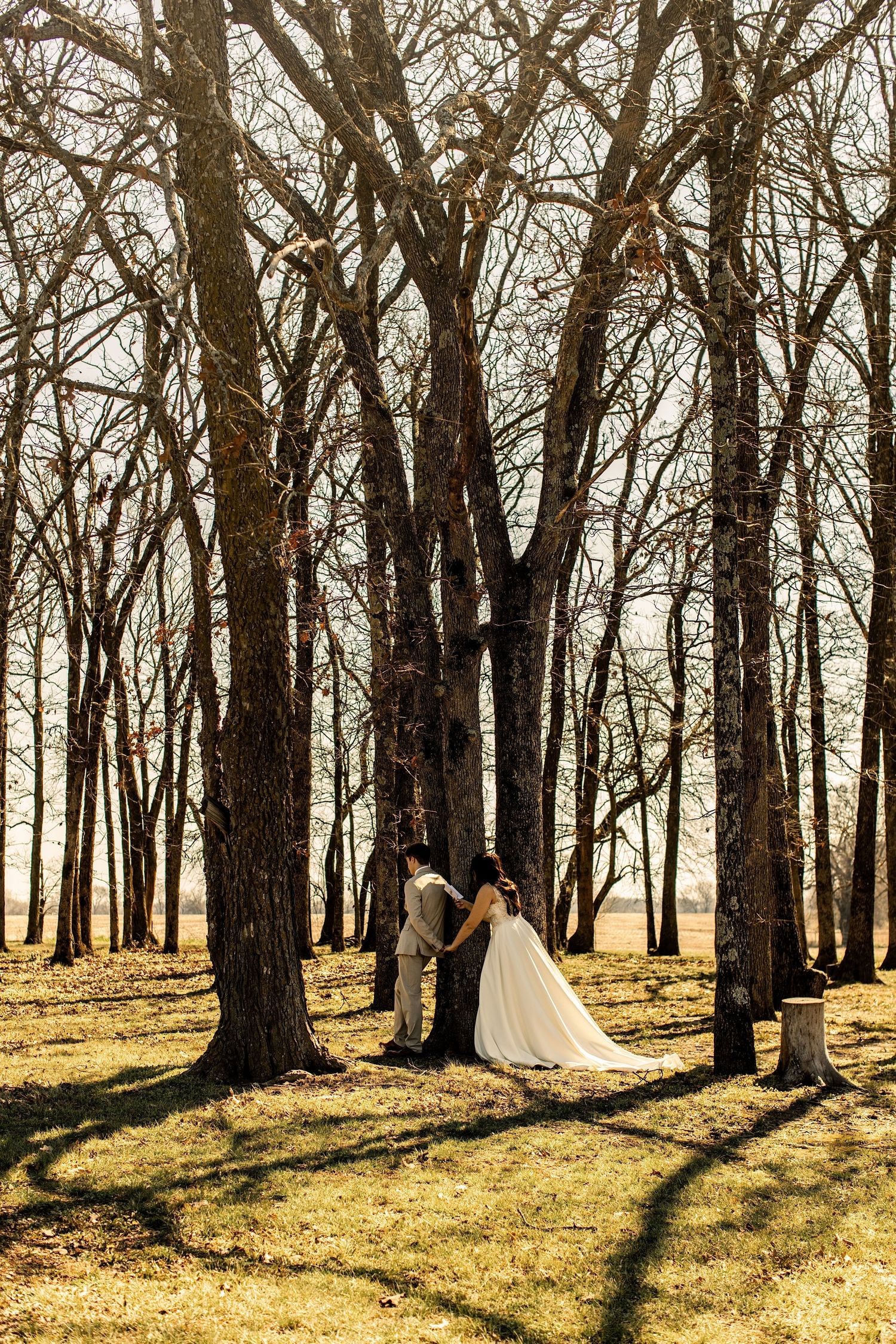 Bride and groom holding hands among tall bare trees in golden sunlight during outdoor wedding portraits.