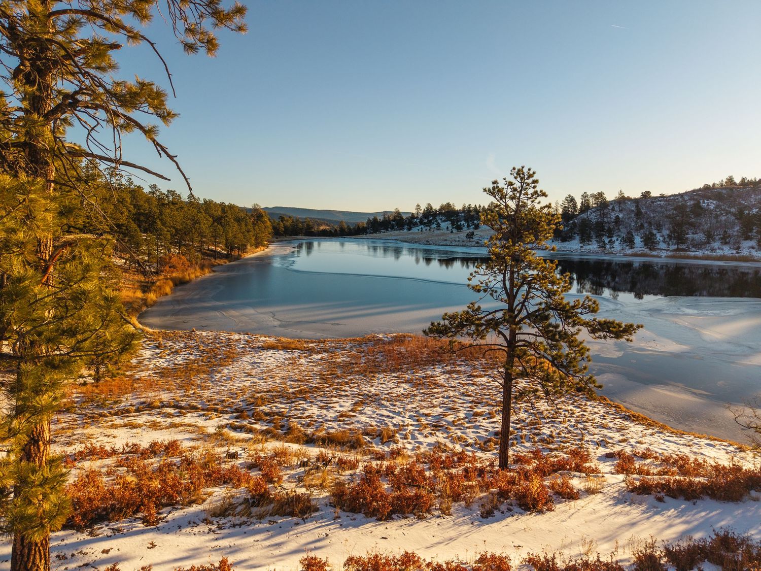 Snowy winter landscape with pine trees beside a calm reflective lake under a clear blue sky.