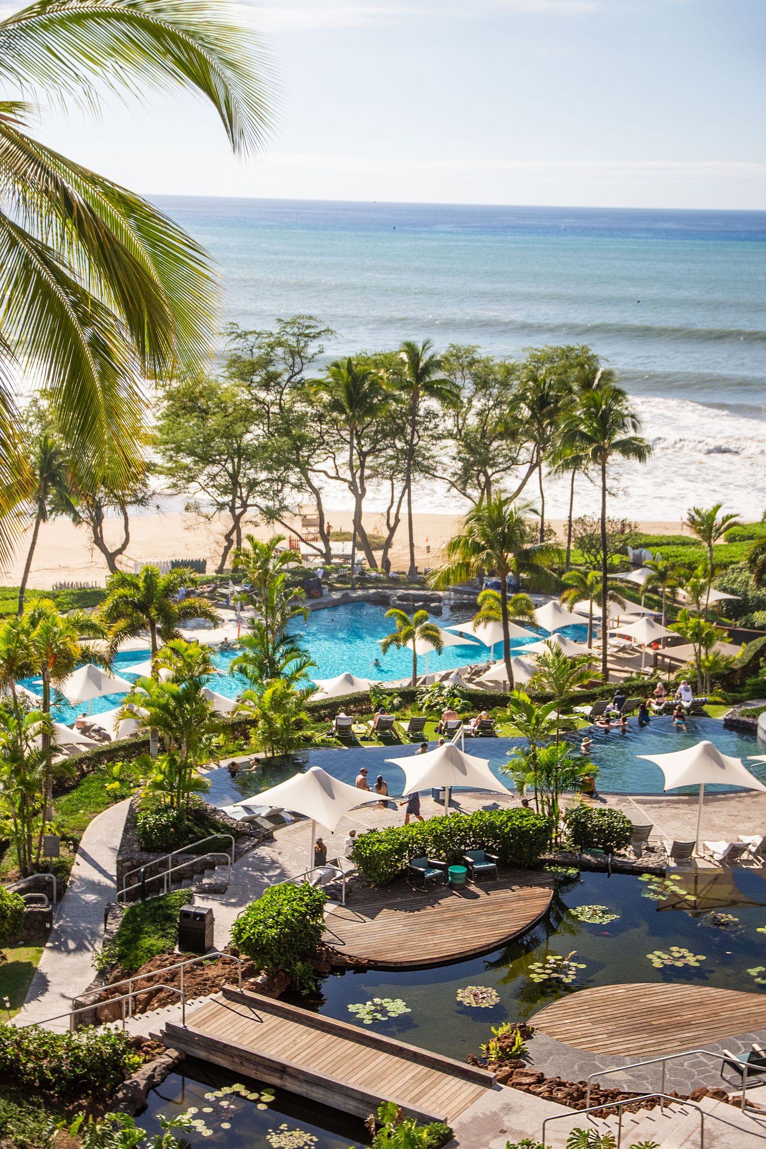Luxury beachfront resort with multiple swimming pools surrounded by tropical landscaping.
